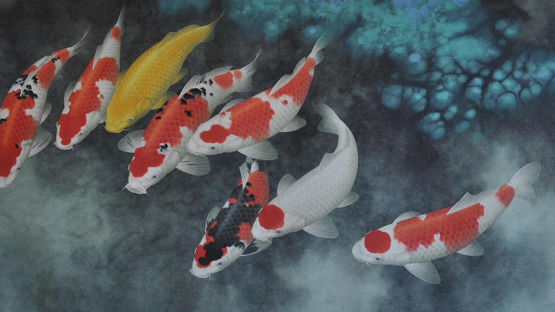 Koi Fish 4K Wallpapers