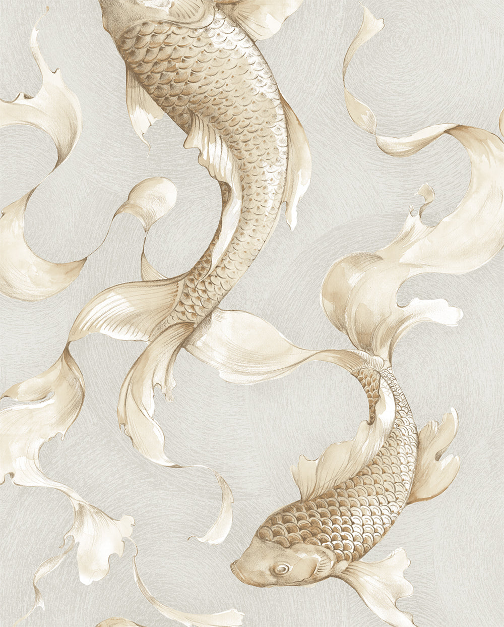 Koi Fish Desktop Background