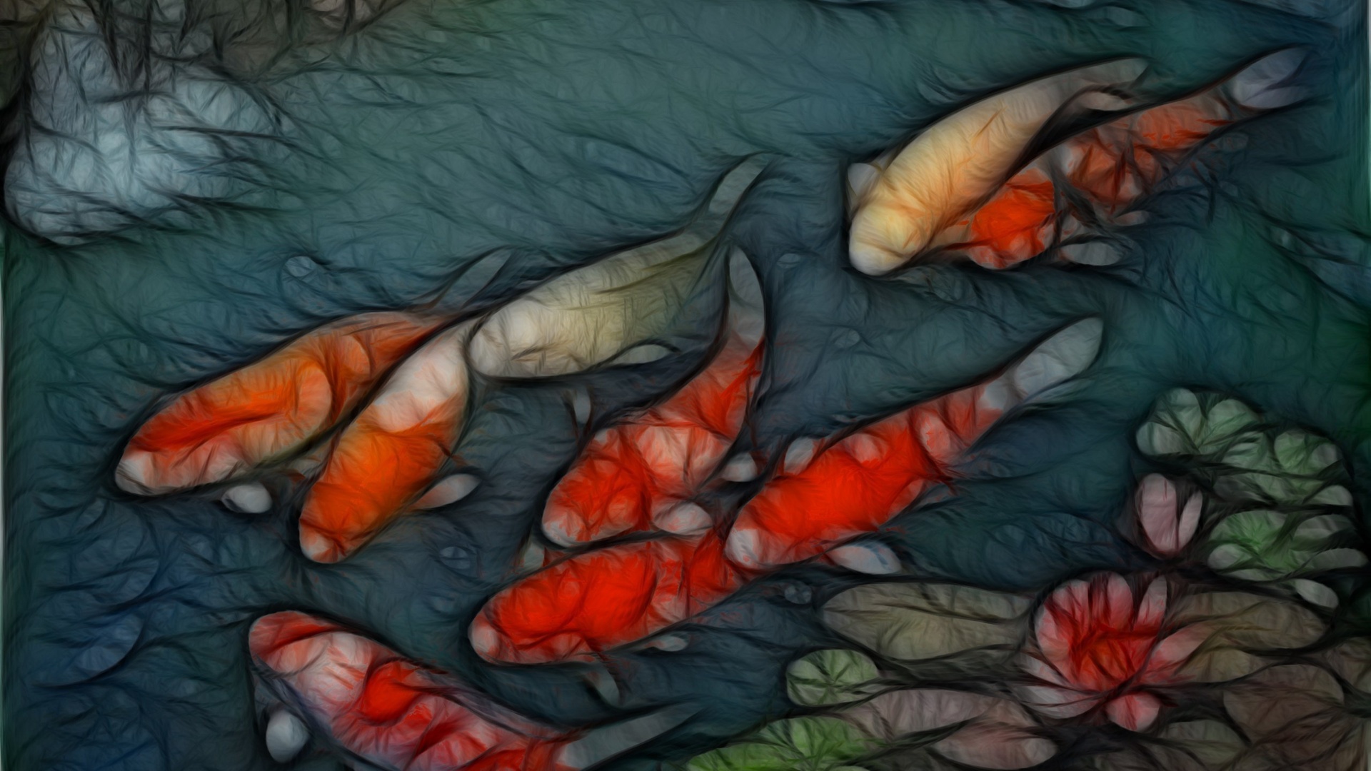 Koi Fish Desktop Background