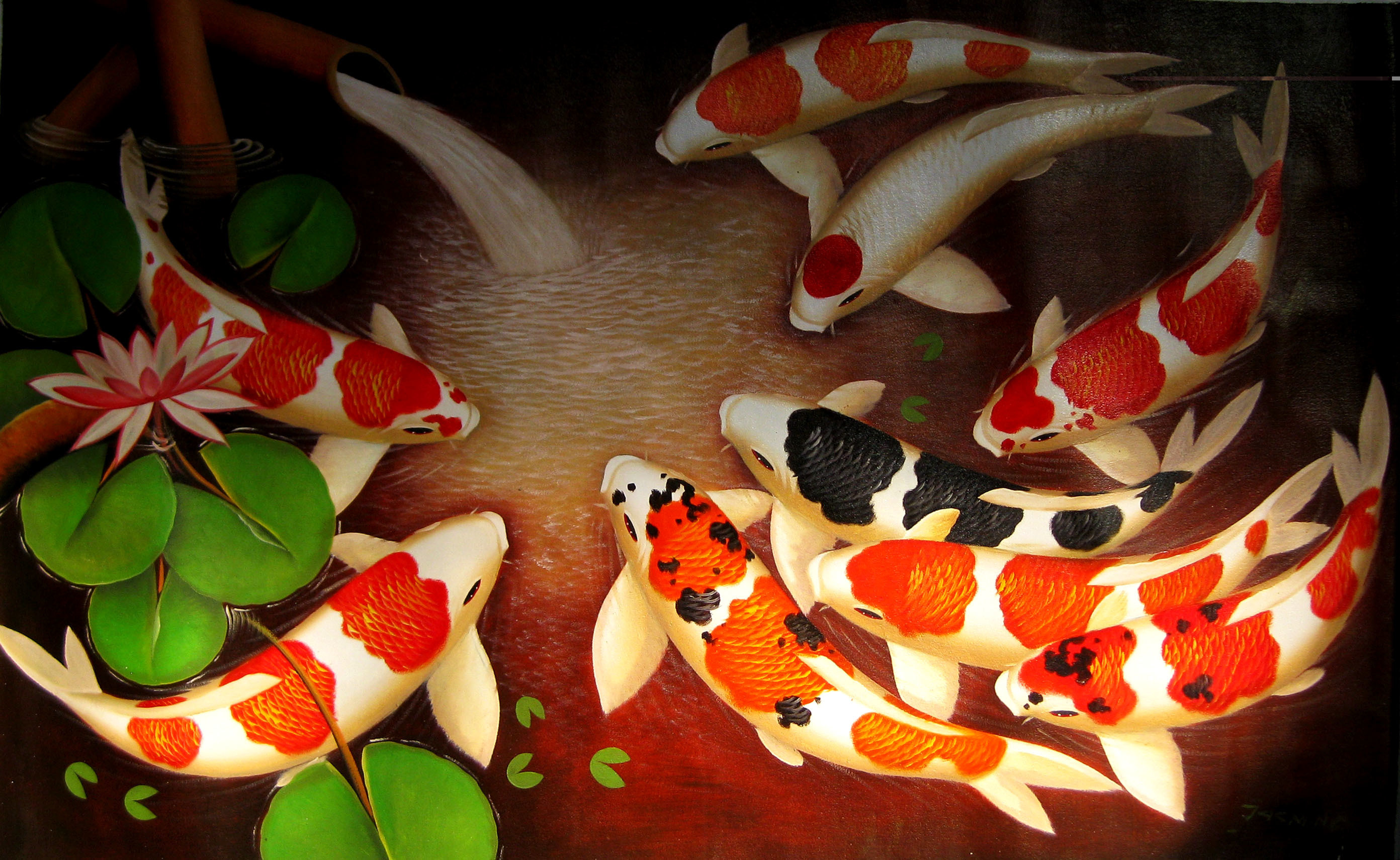 Koi Fish Desktop Background