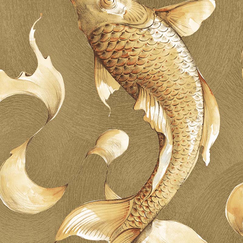 Koi Gold Wallpapers