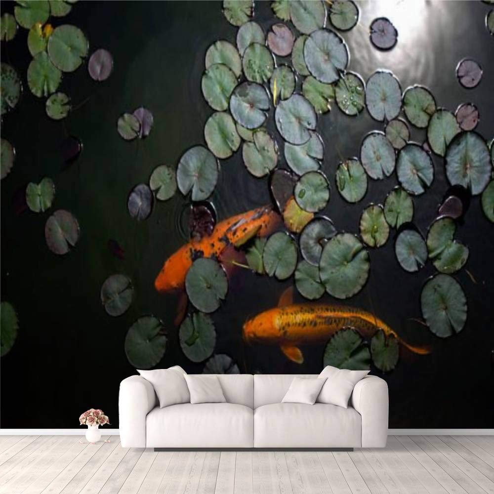 Koi Pond Background