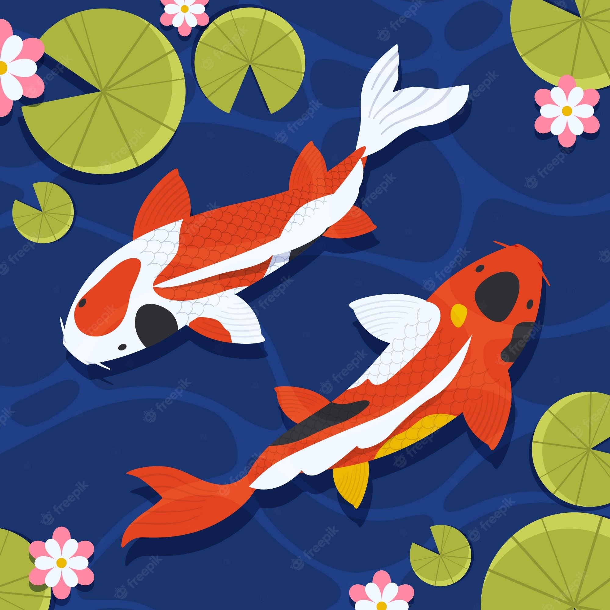 Koi Pond Background