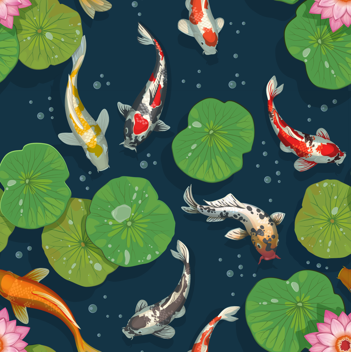 Koi Pond Background