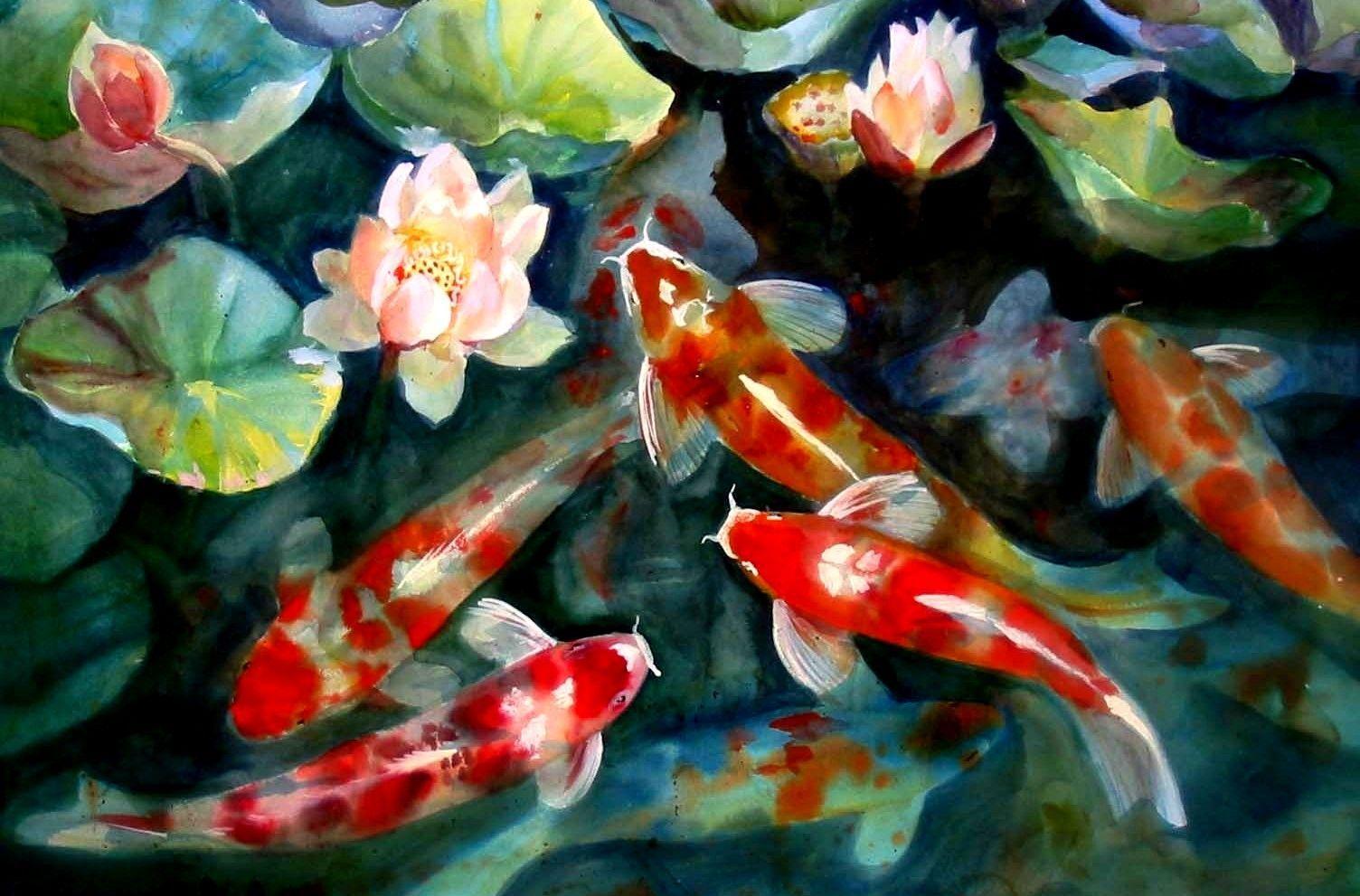 Koi Pond Background