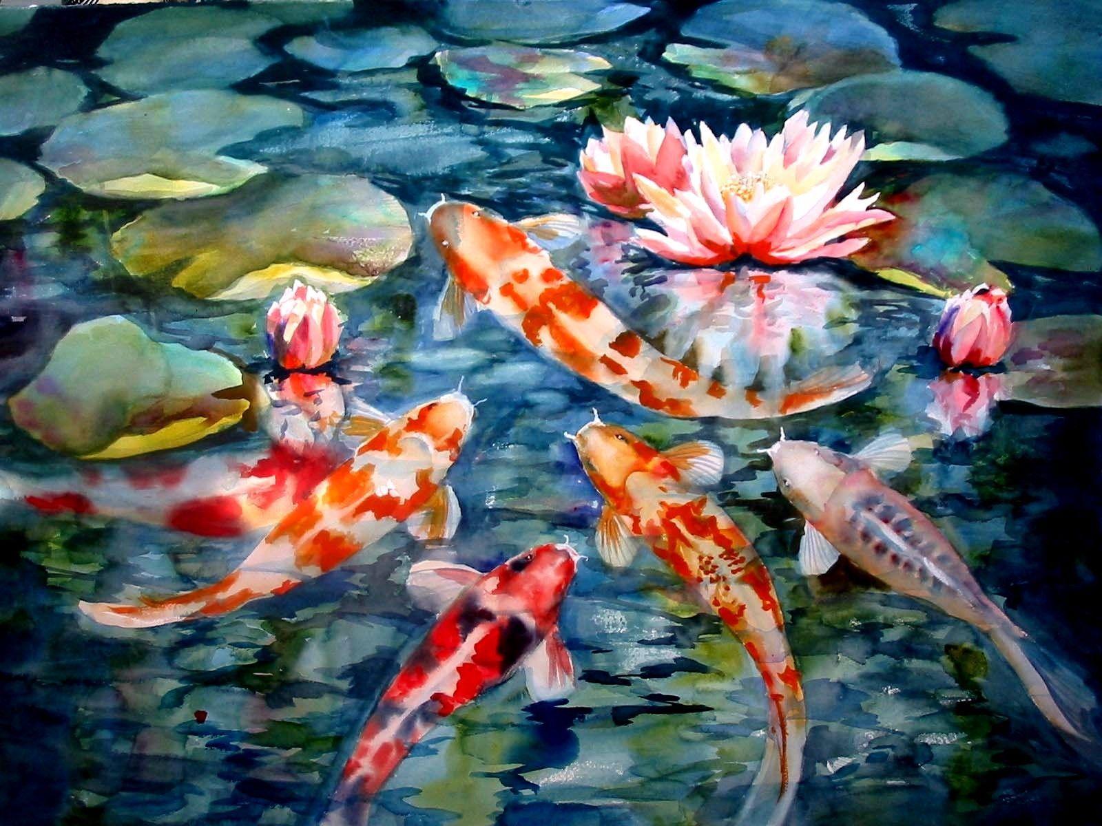 Koi Pond Background