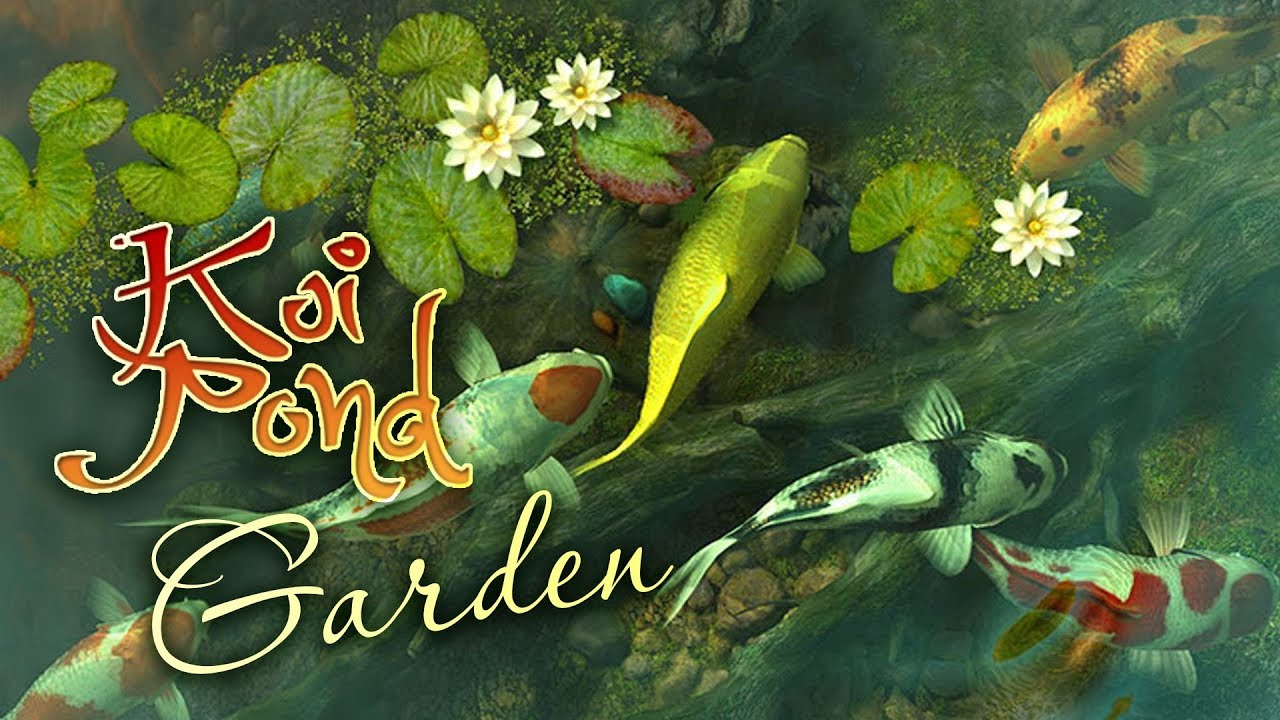 Koi Pond Background