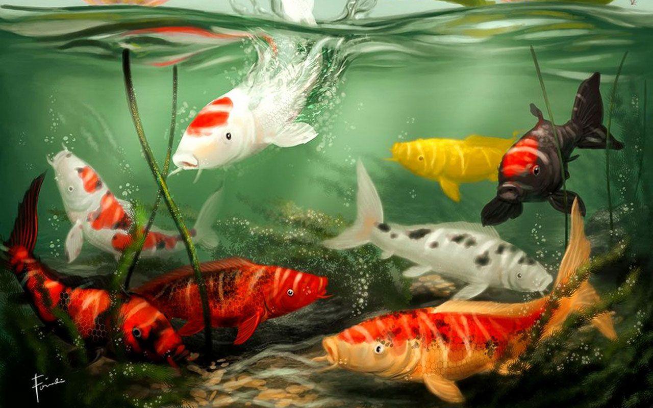 Koi Pond Background