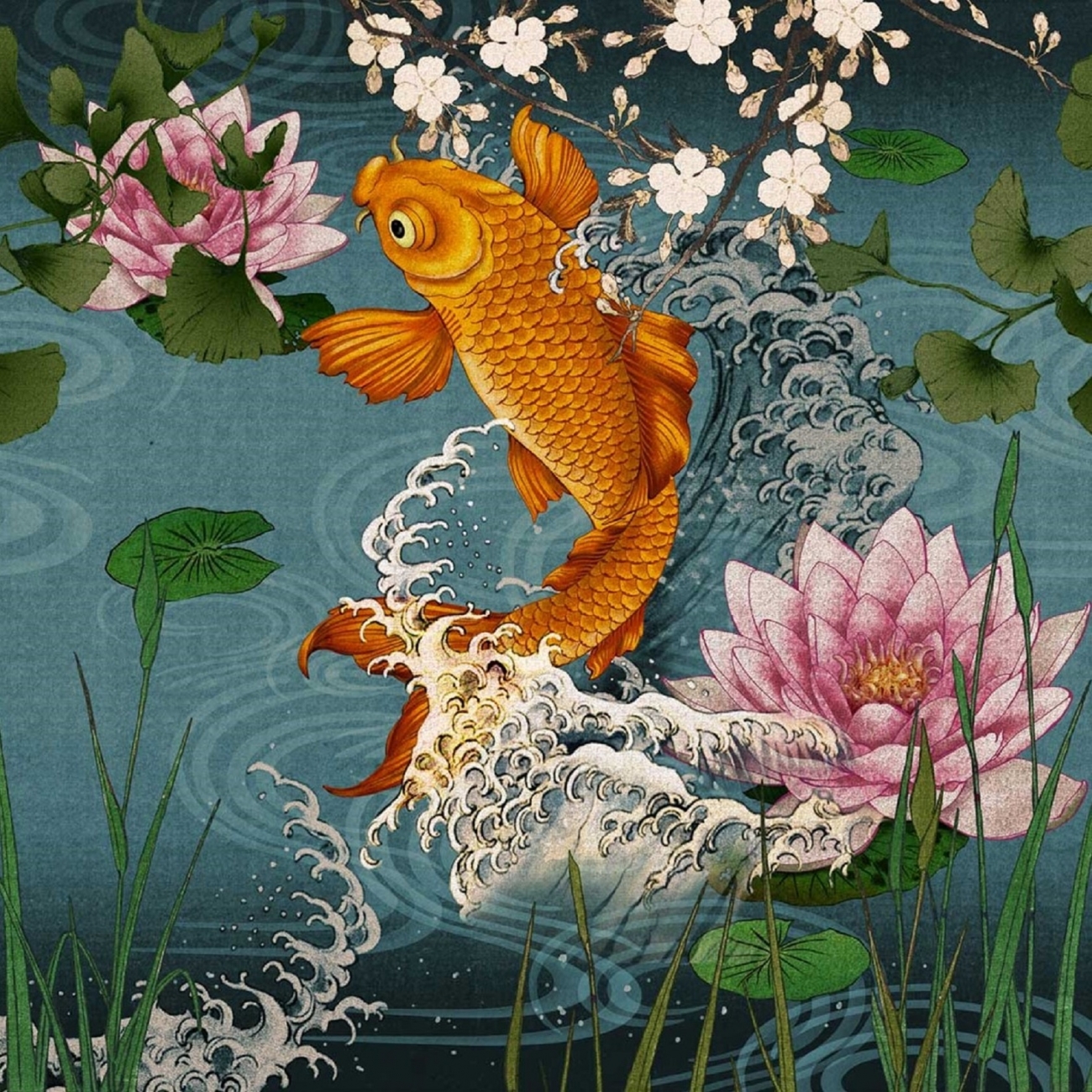 Koi Wallpapers