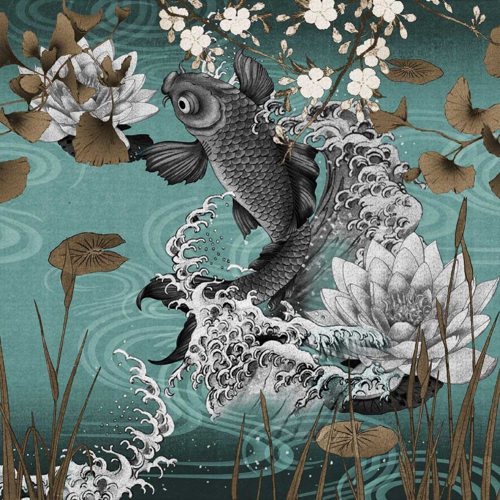 Koi Wallpapers