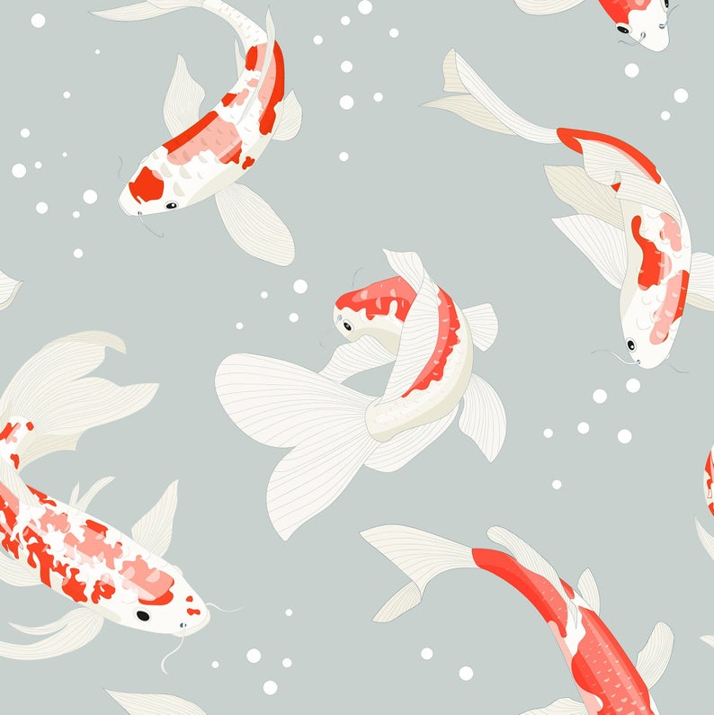 Koi Wallpapers