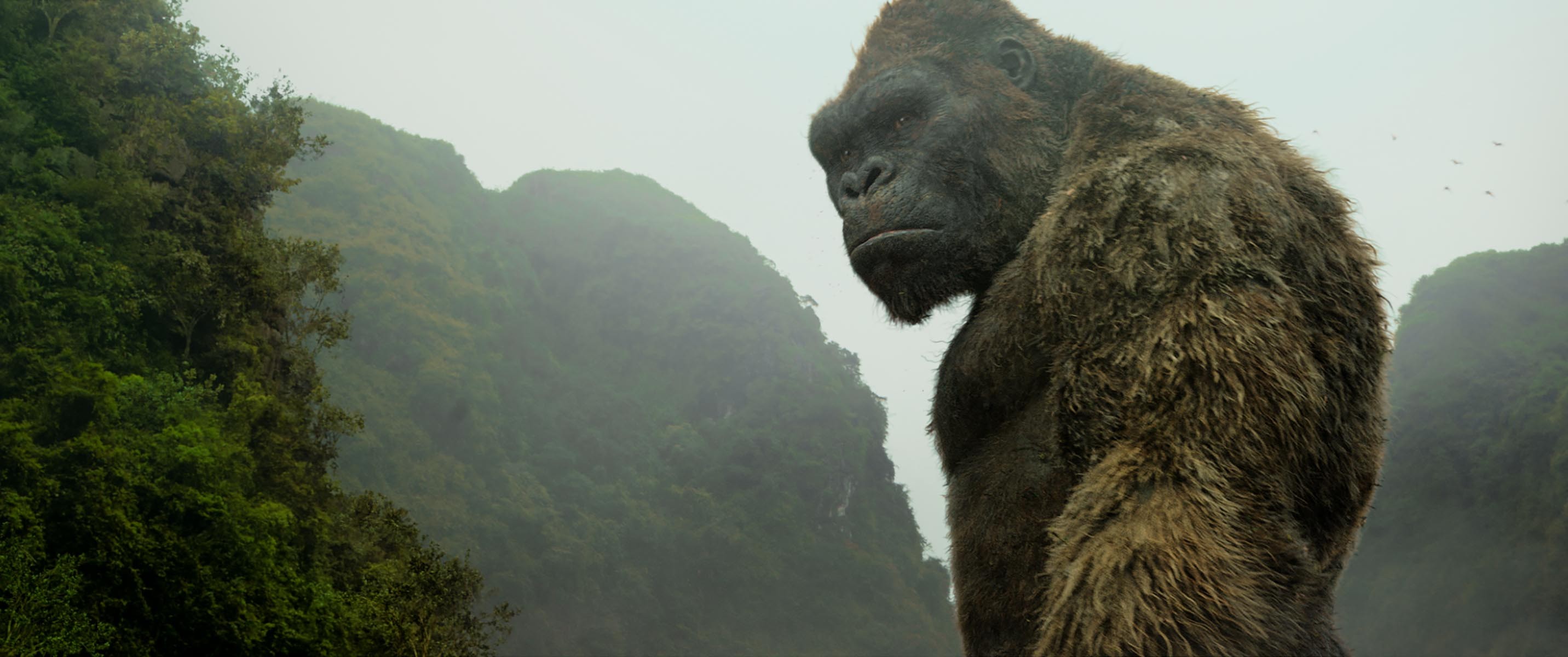 Kong Skull Island King 8K Wallpapers