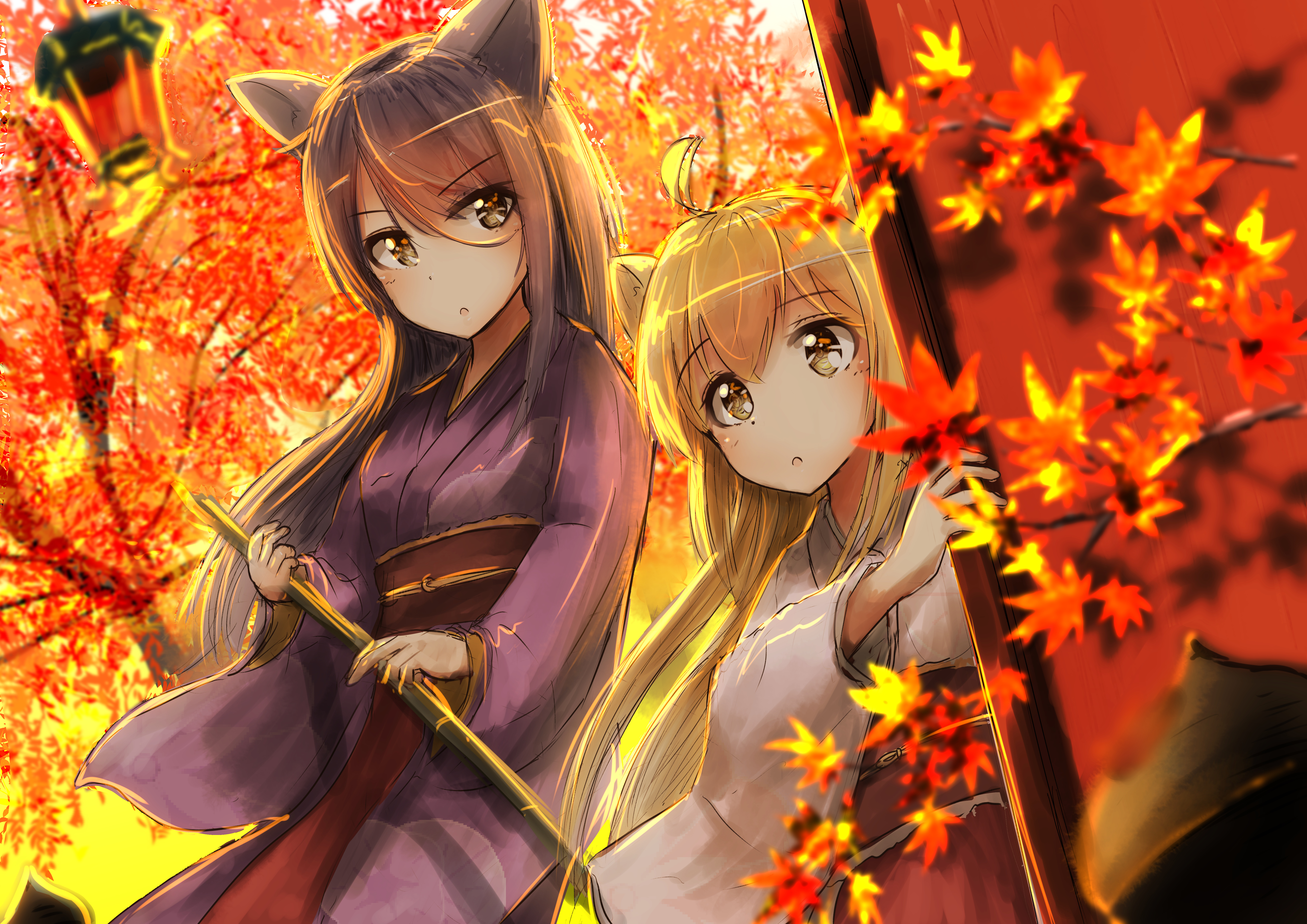 Konohana Kitan Wallpapers