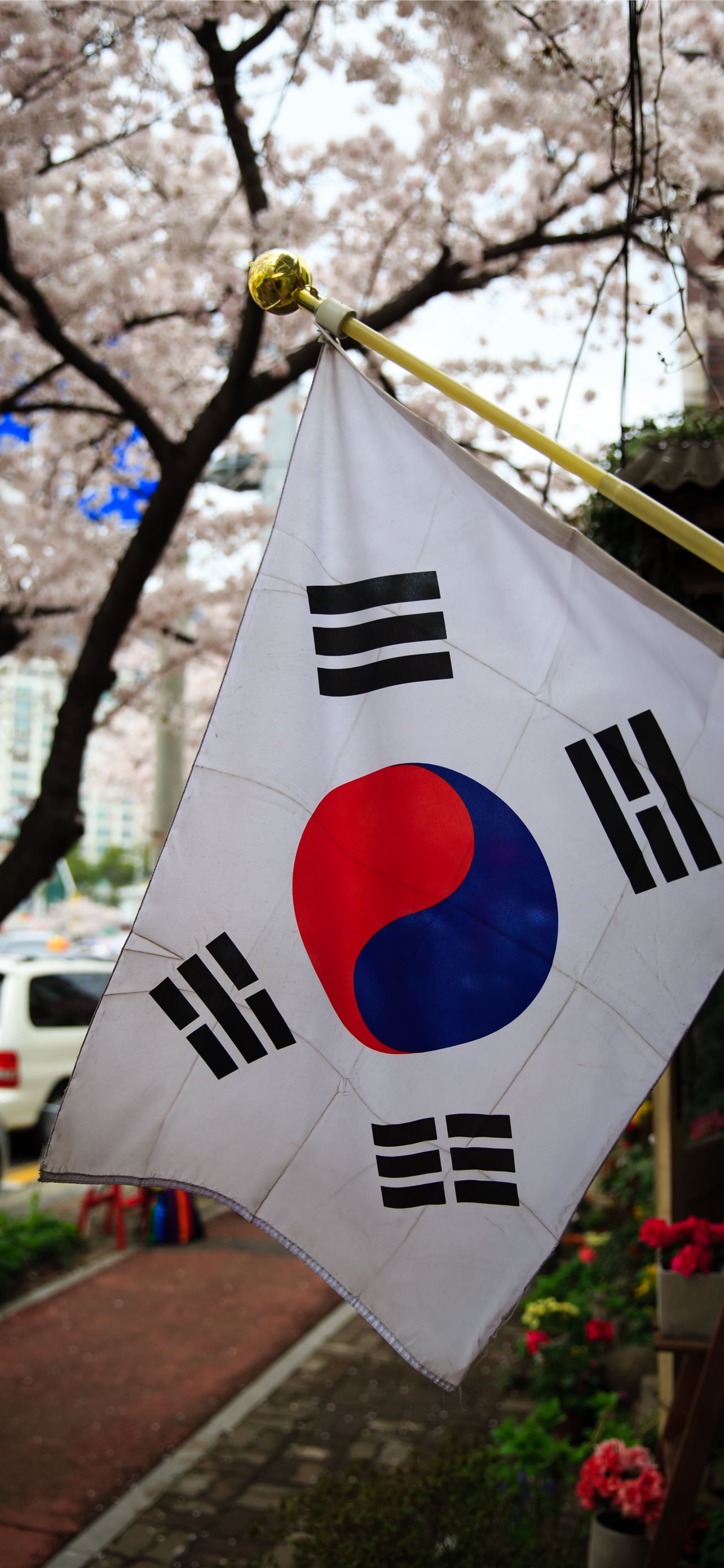 Korea Flag Wallpapers