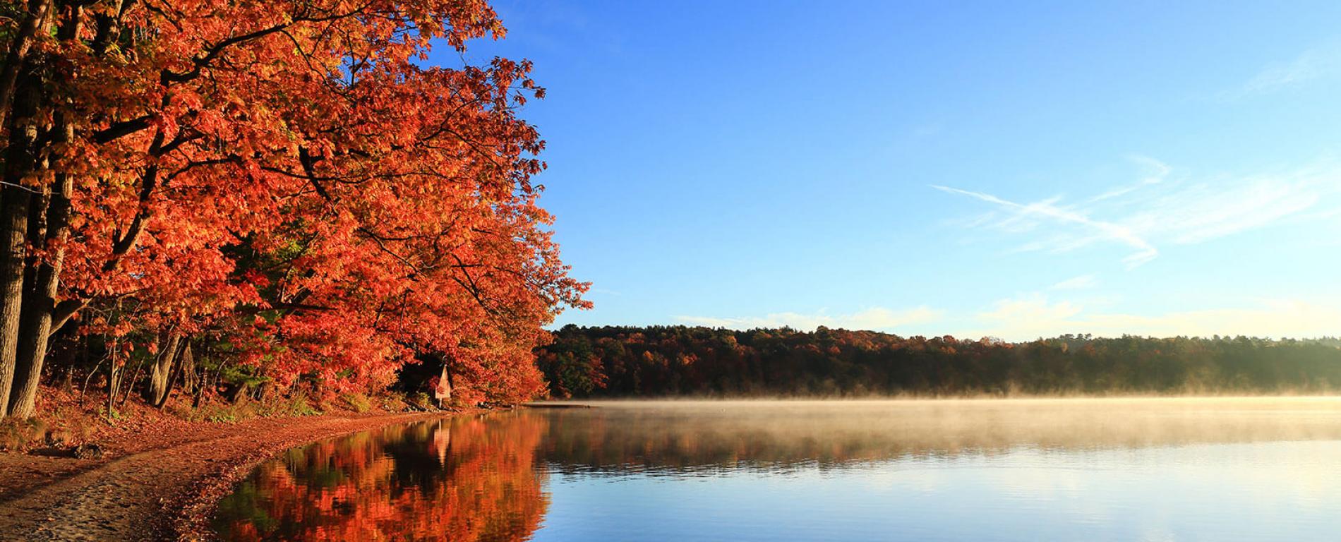 Kripalu Desktop Wallpapers