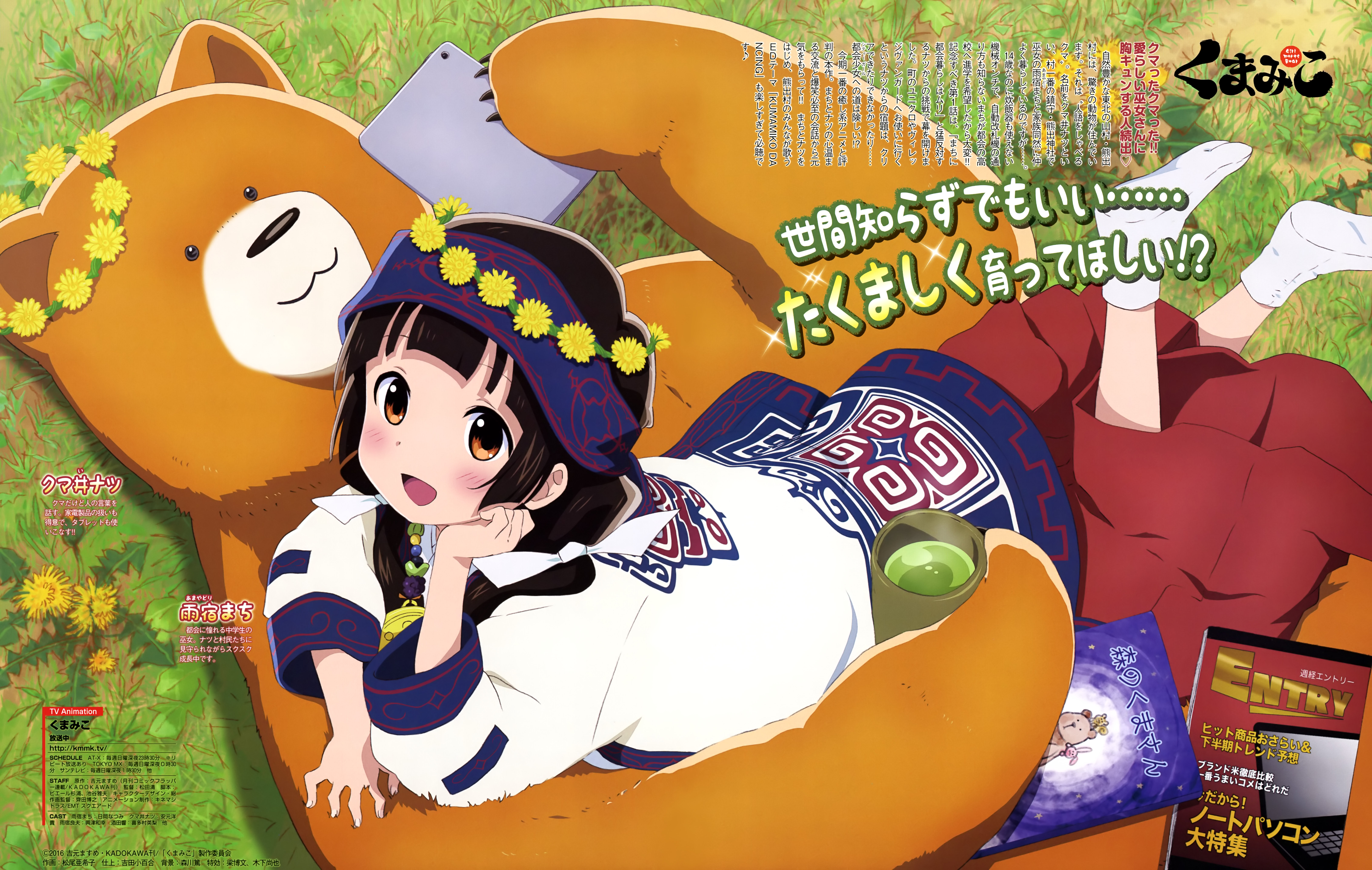 Kuma Miko: Girl Meets Bear Wallpapers