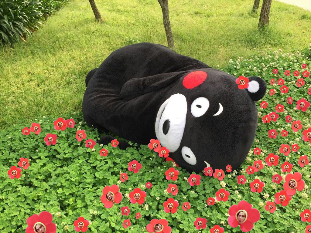 Kumamon Wallpapers