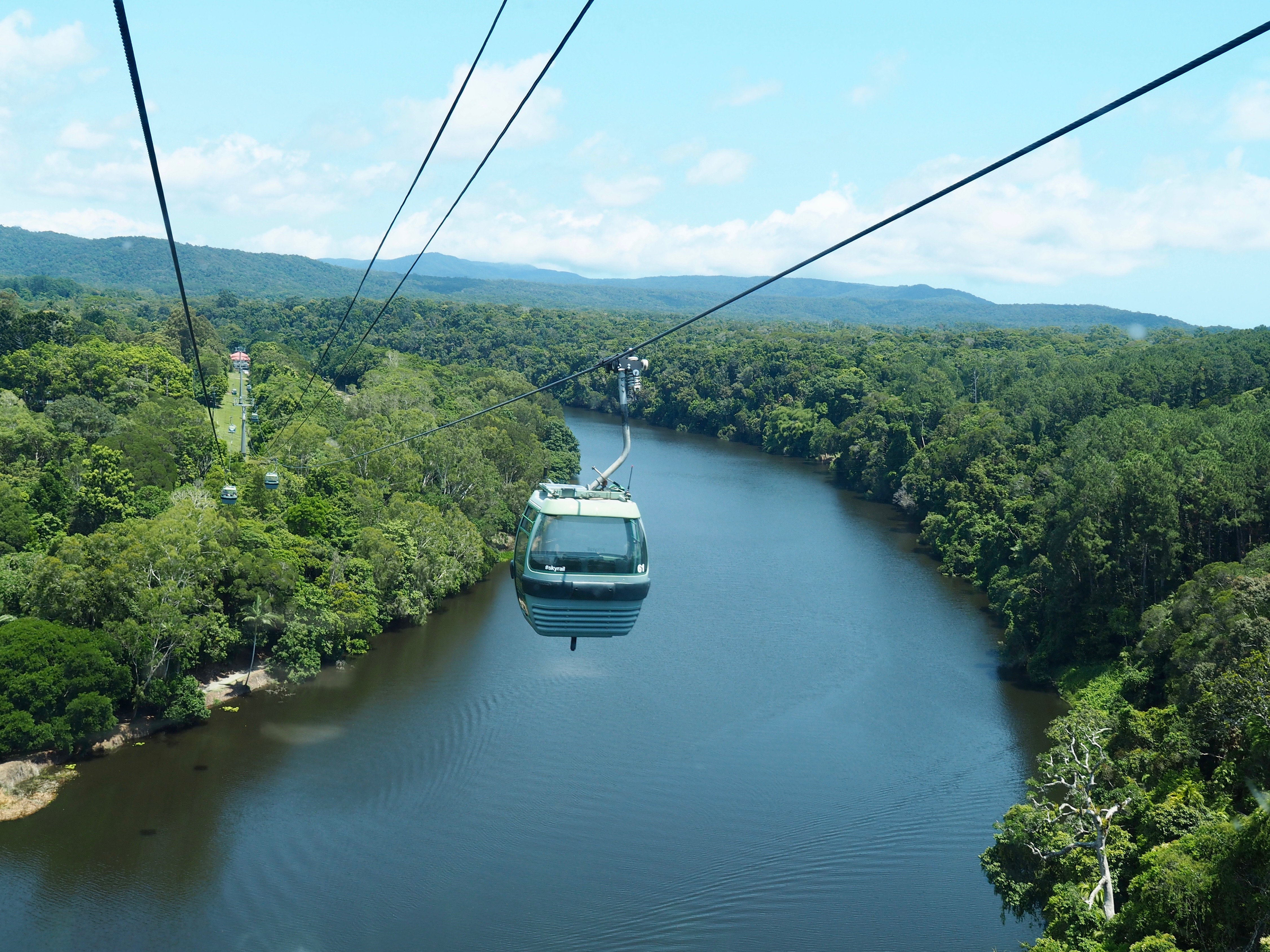 Kuranda Rianforest Wallpapers