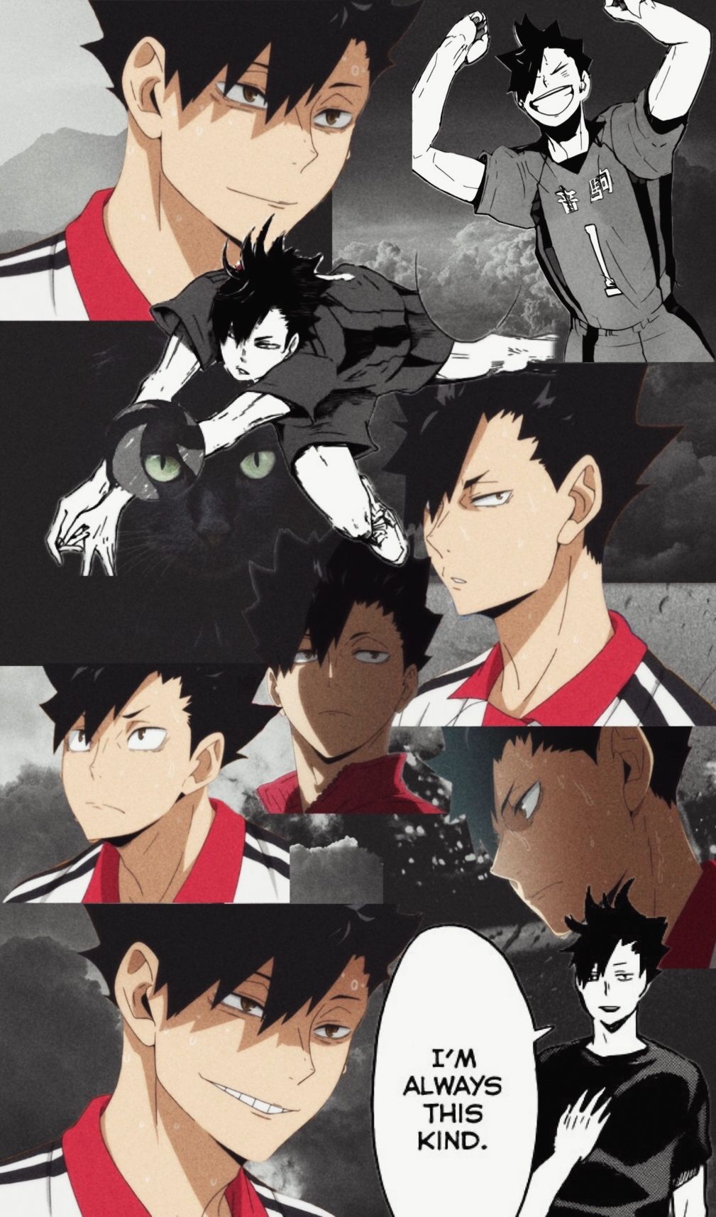 Kuroo Tetsurou Wallpapers