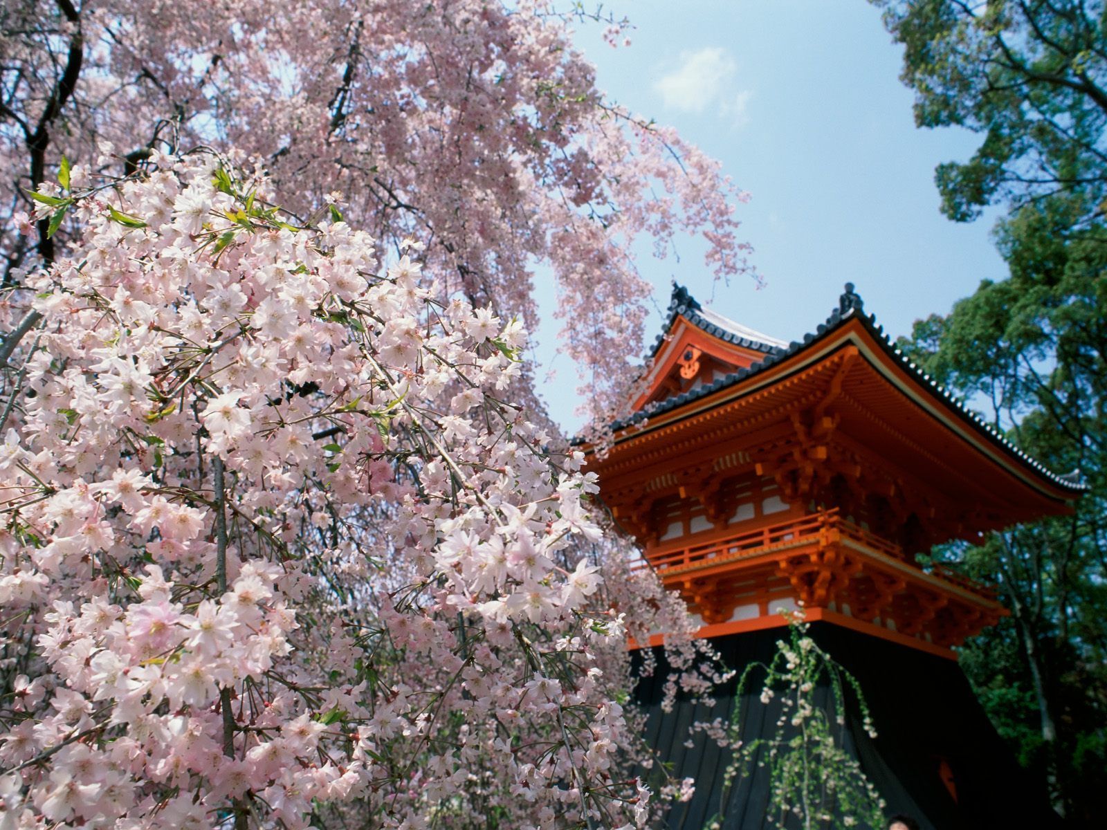 Kyoto Japan Wallpapers