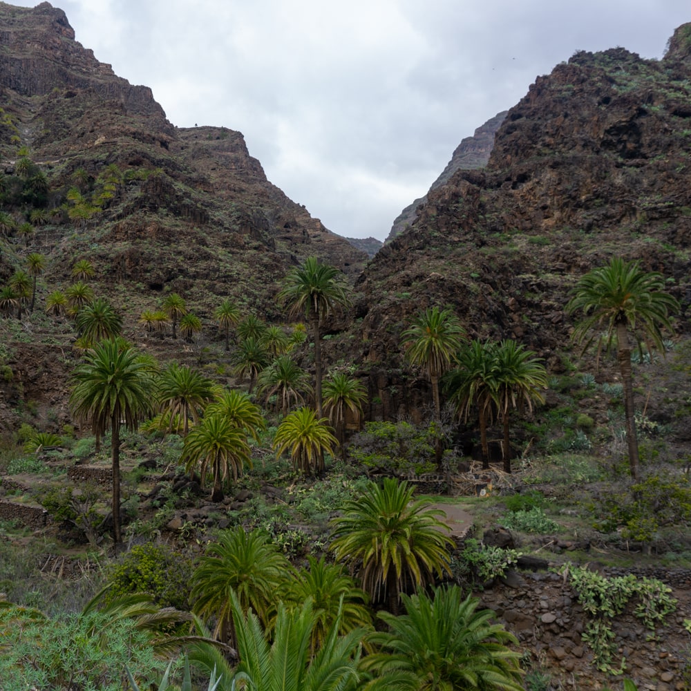 La Gomera Spain Wallpapers