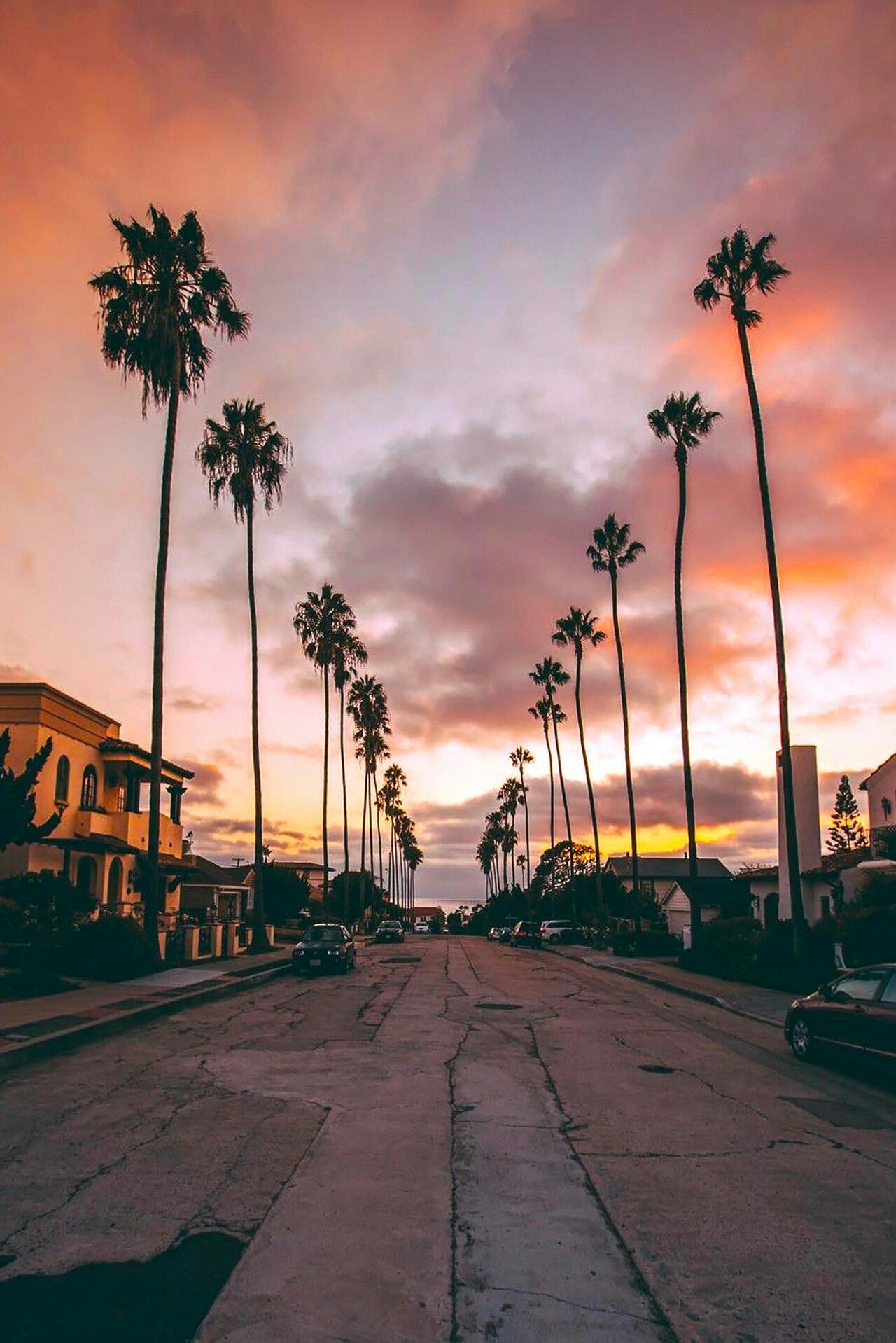 La Palm Trees Wallpapers