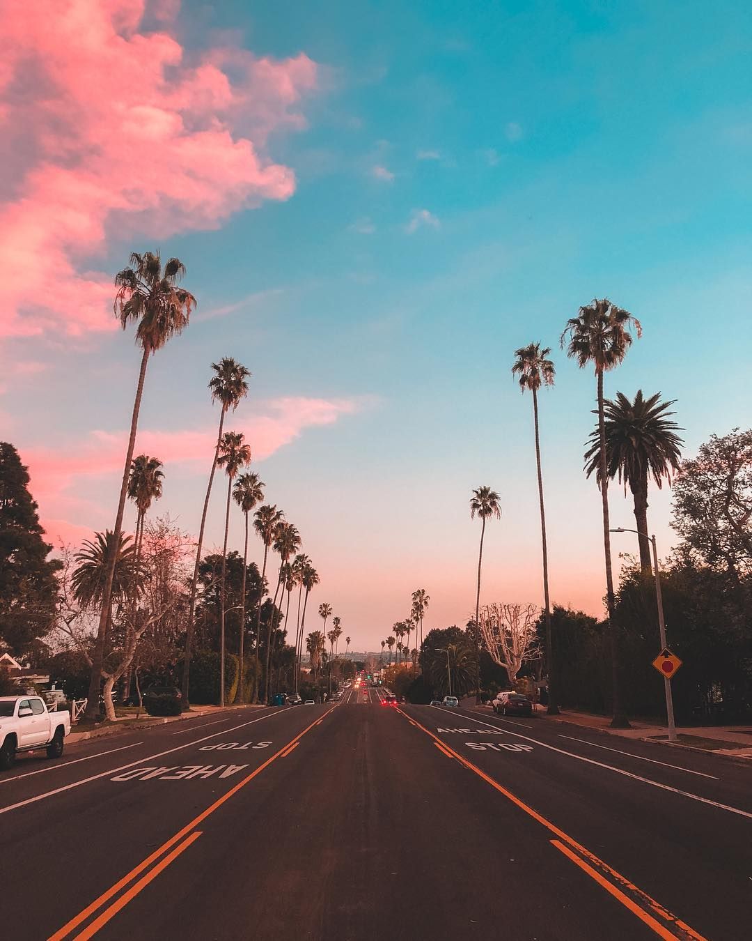 La Palm Trees Wallpapers