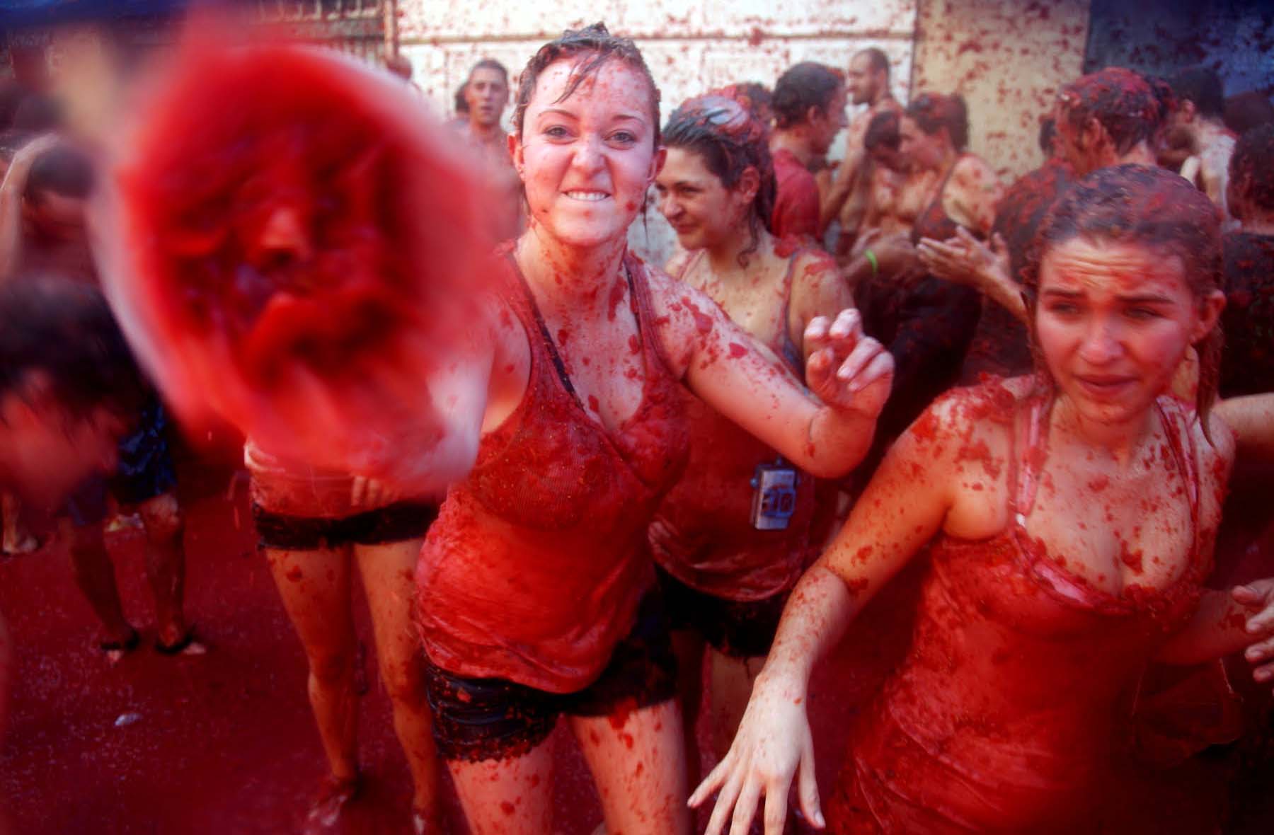 La Tomatina Wallpapers