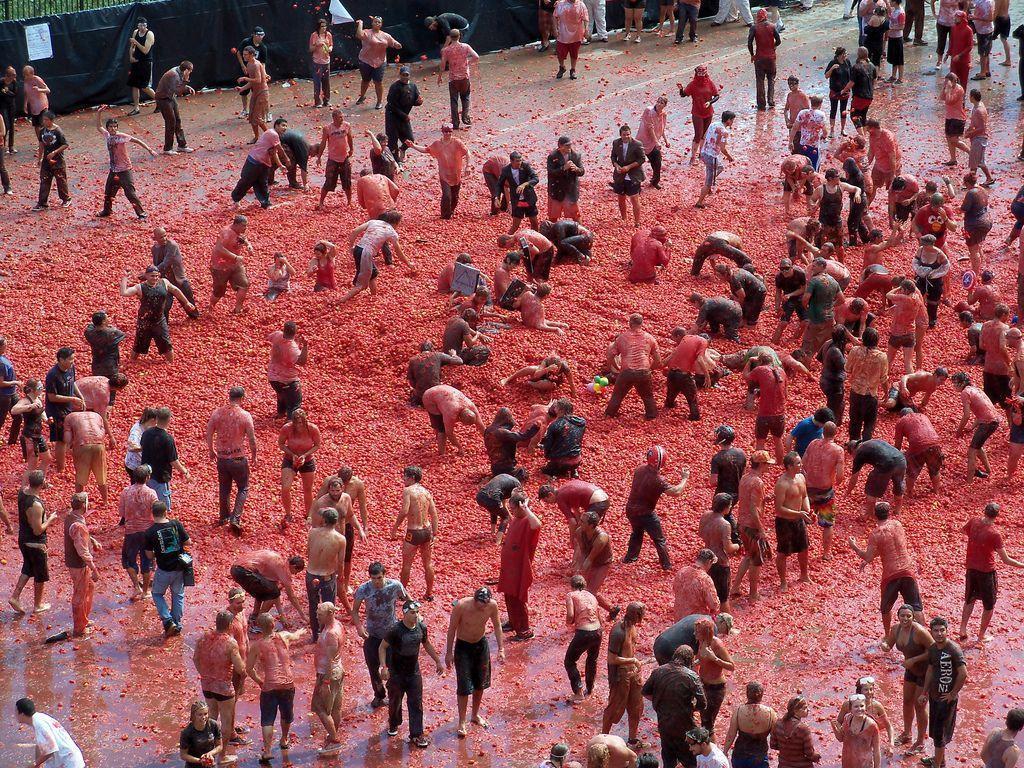 La Tomatina Wallpapers