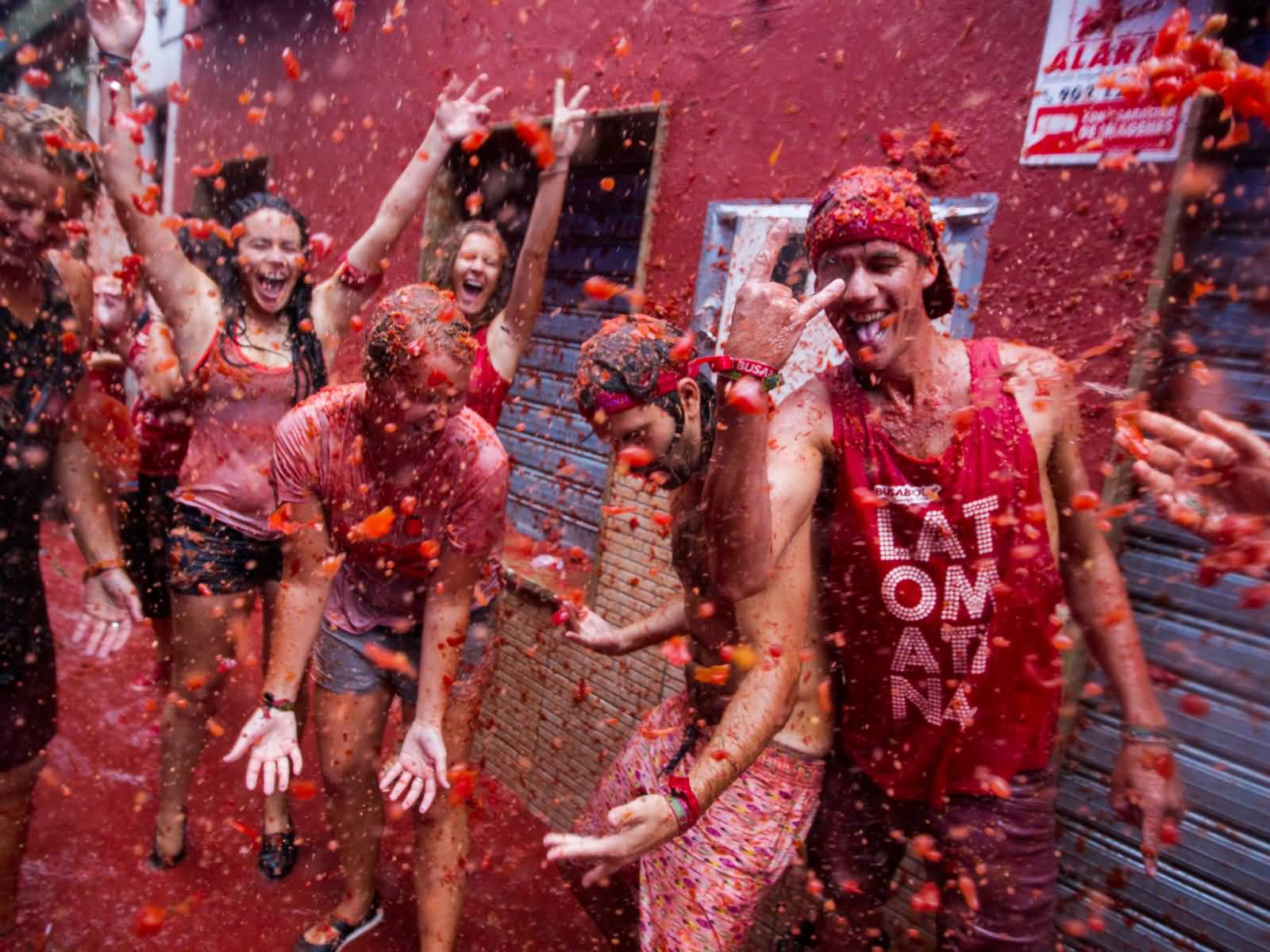 La Tomatina Wallpapers