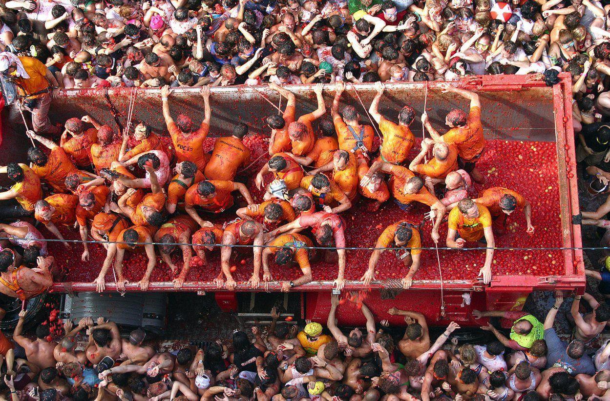 La Tomatina Wallpapers