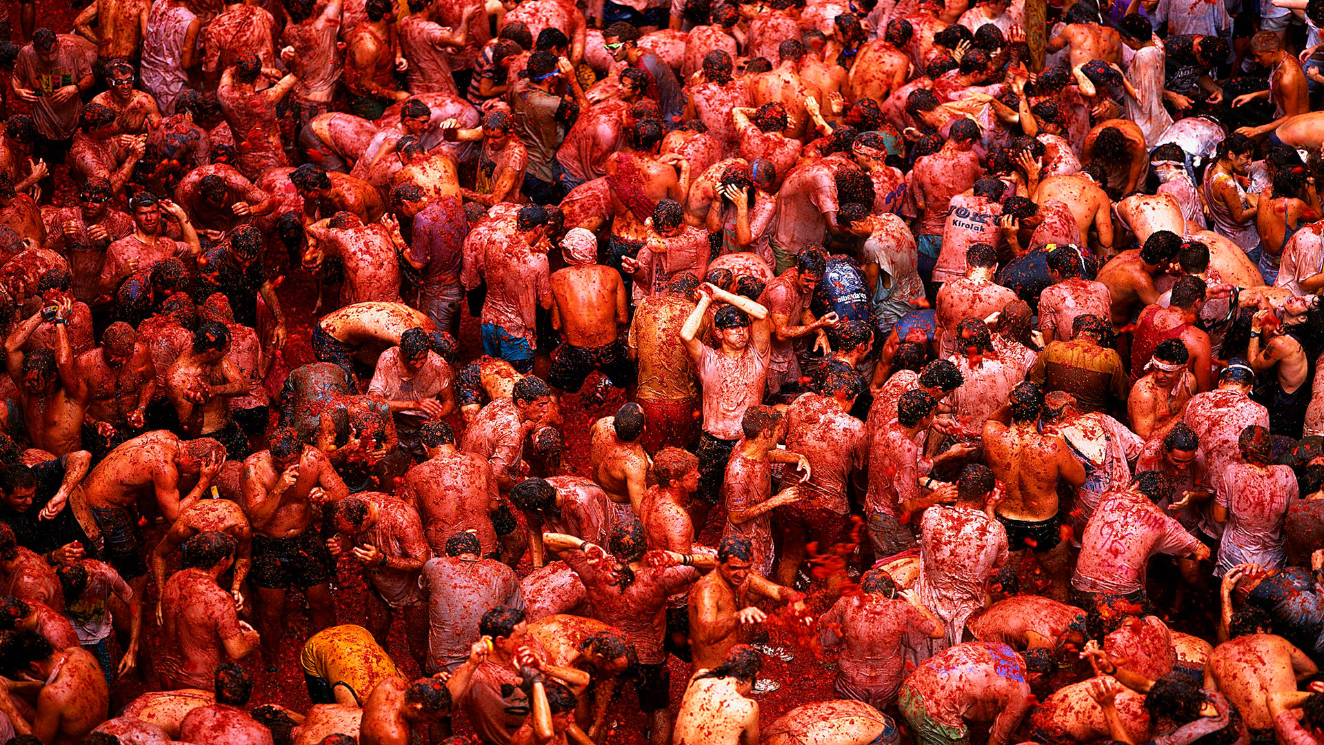 La Tomatina Wallpapers