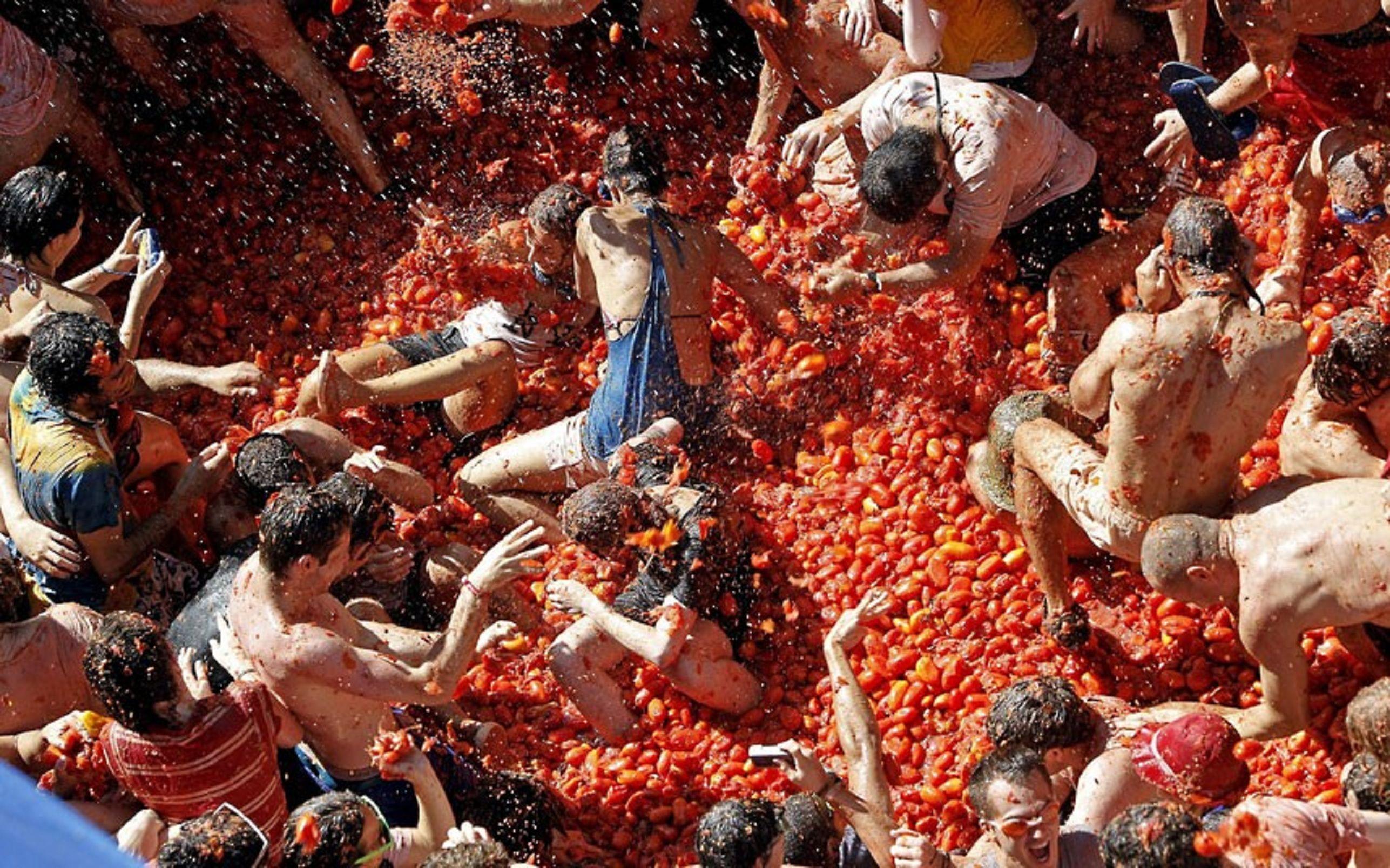 La Tomatina Wallpapers