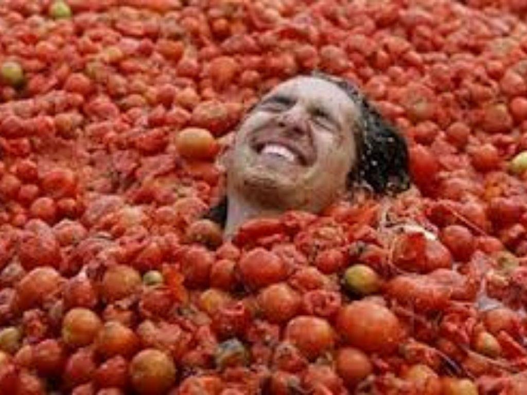 La Tomatina Wallpapers