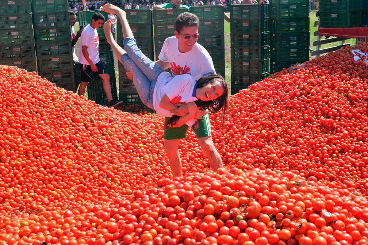 La Tomatina Wallpapers