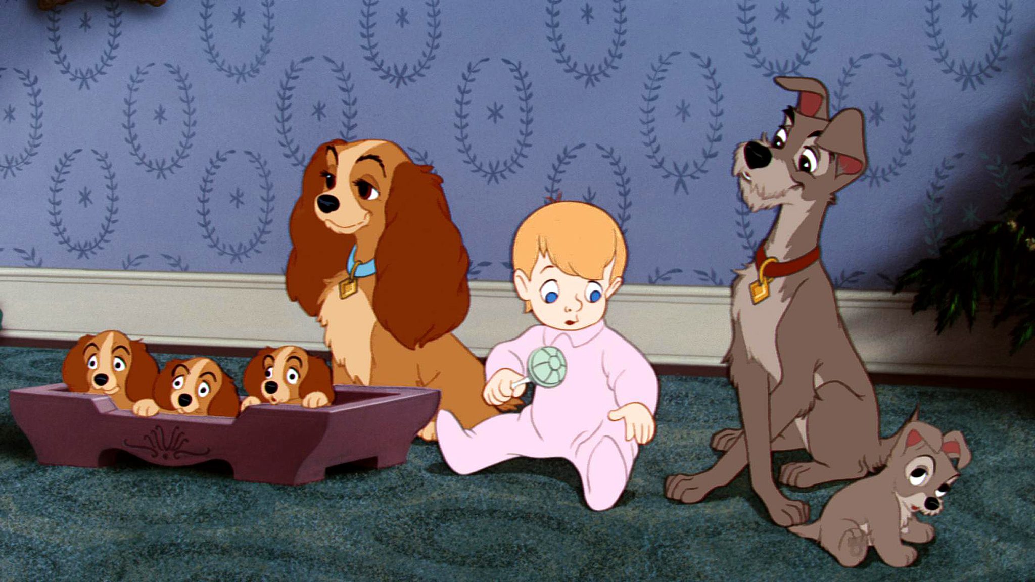 Lady And The Tramp (1955) Wallpapers