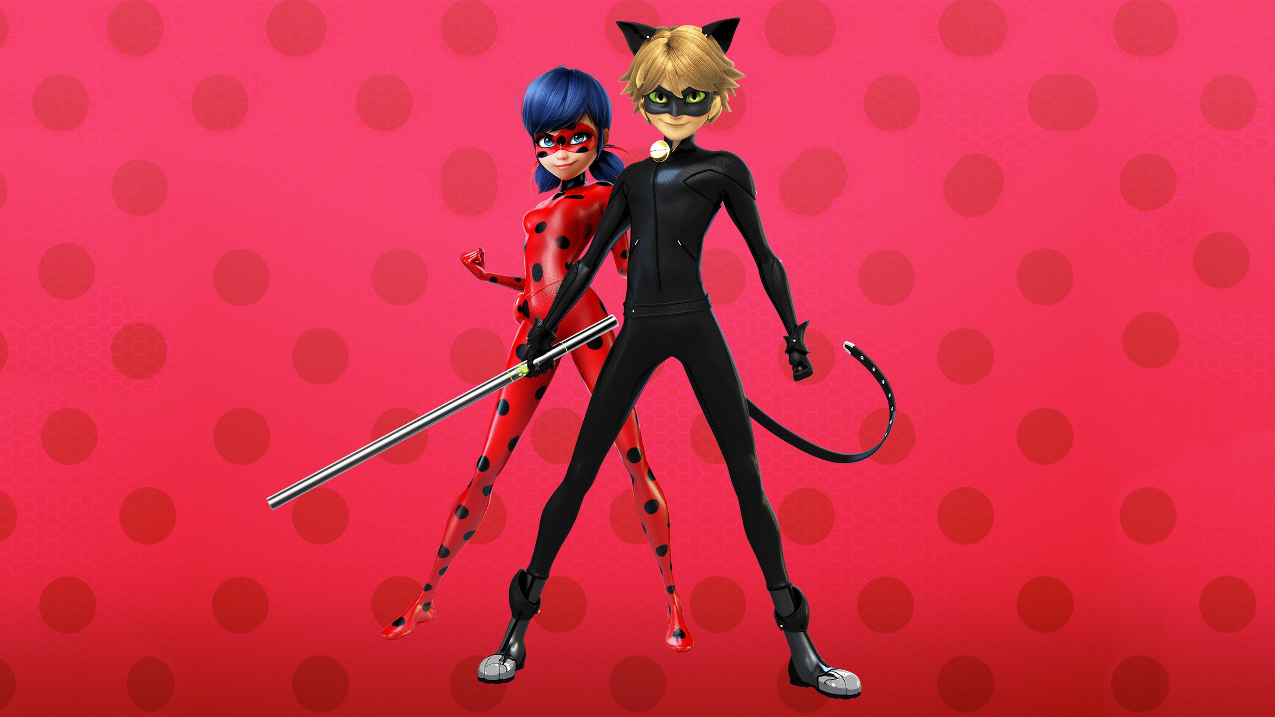 Ladybug Free Wallpapers