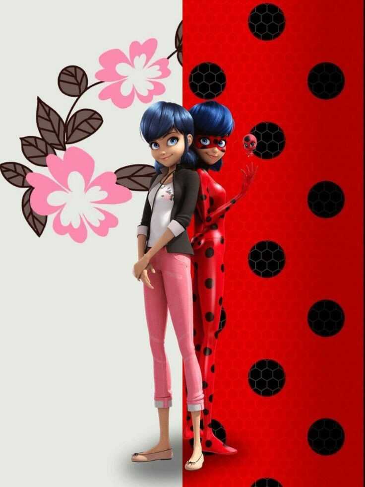 Ladybug Wallpapers