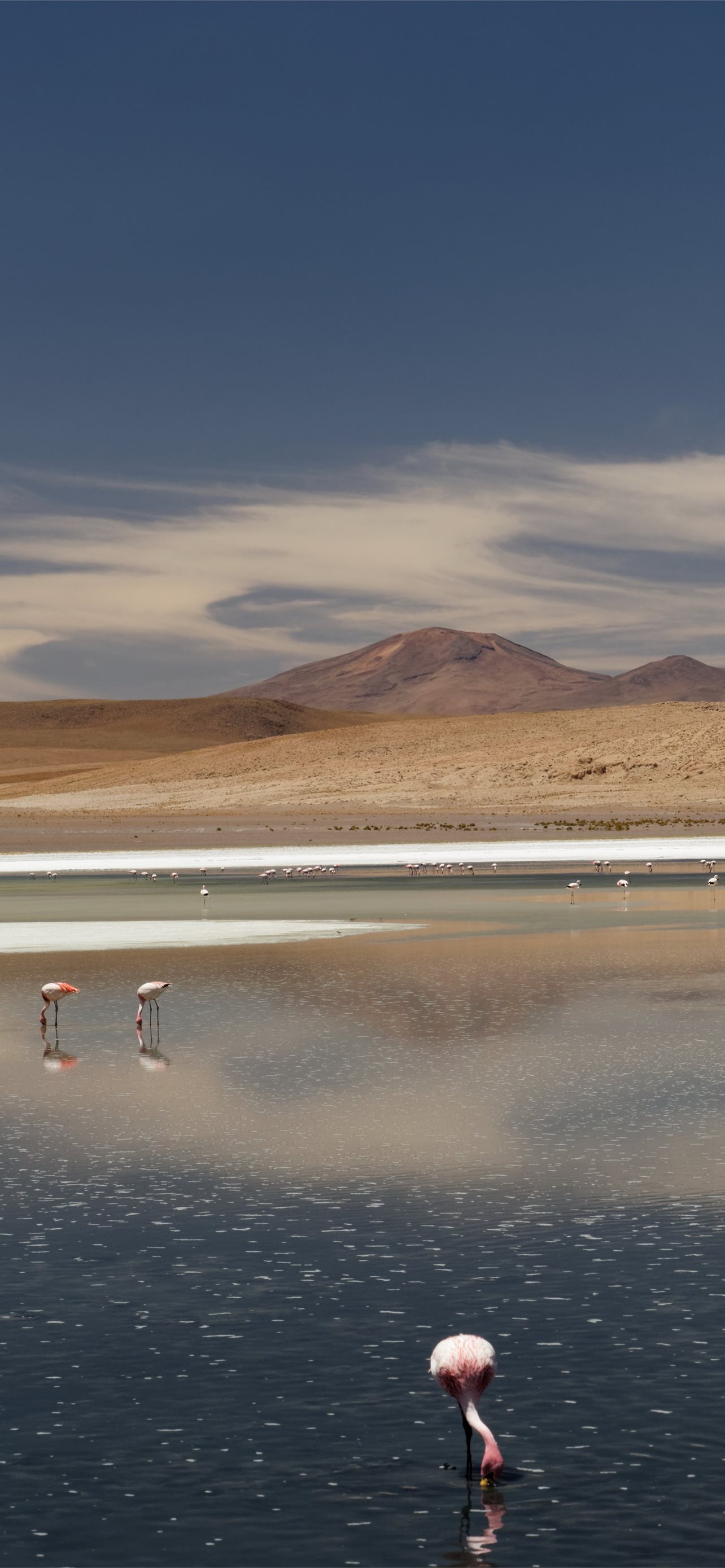 Laguna Colorada Wallpapers