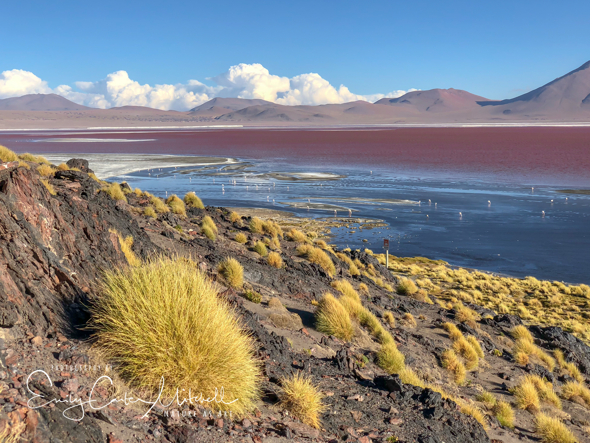 Laguna Colorada Wallpapers