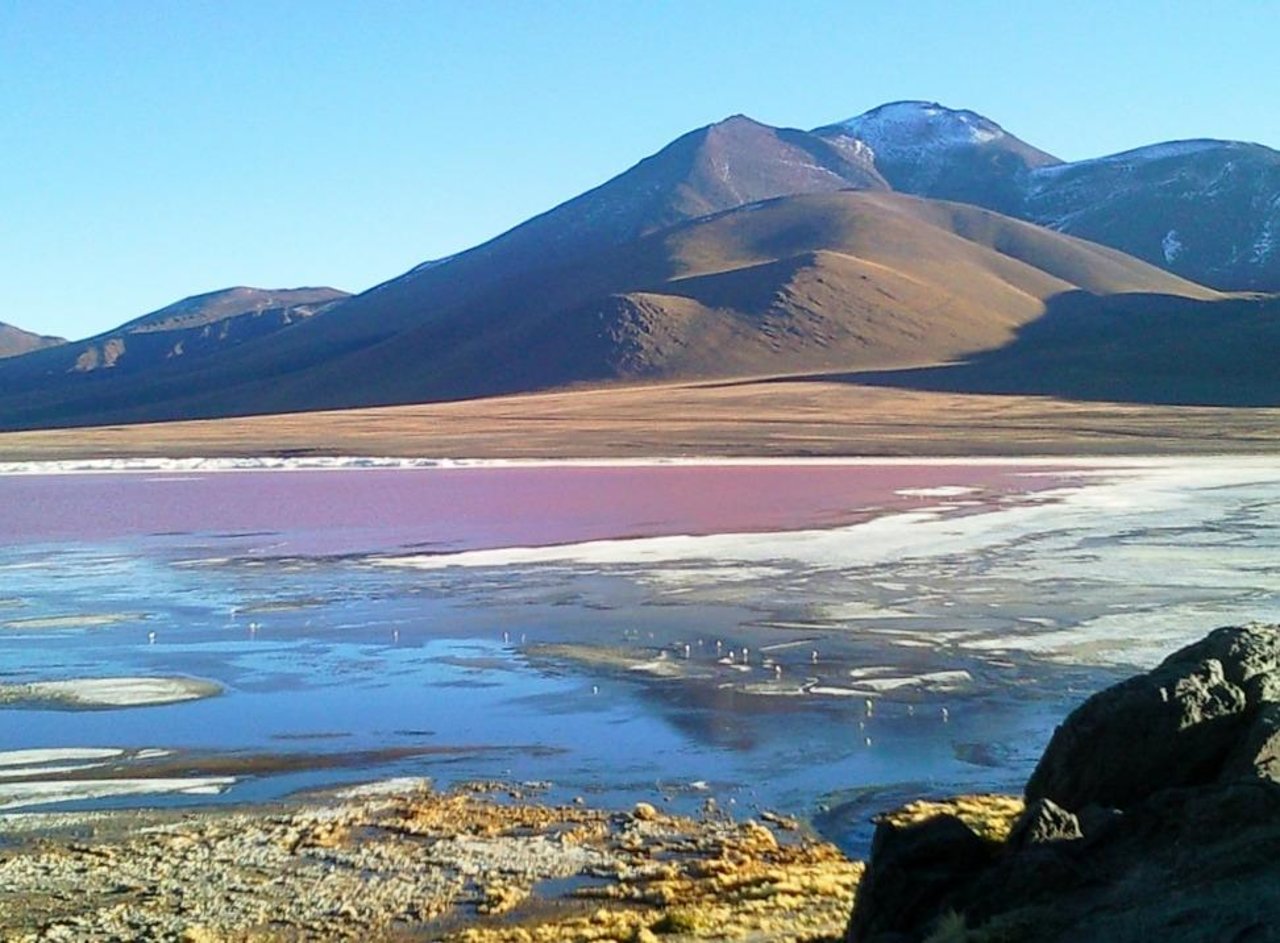 Laguna Colorada Wallpapers