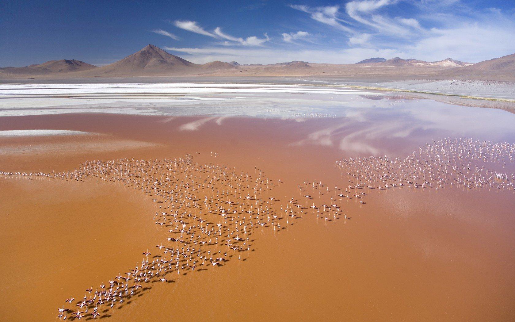 Laguna Colorada Wallpapers