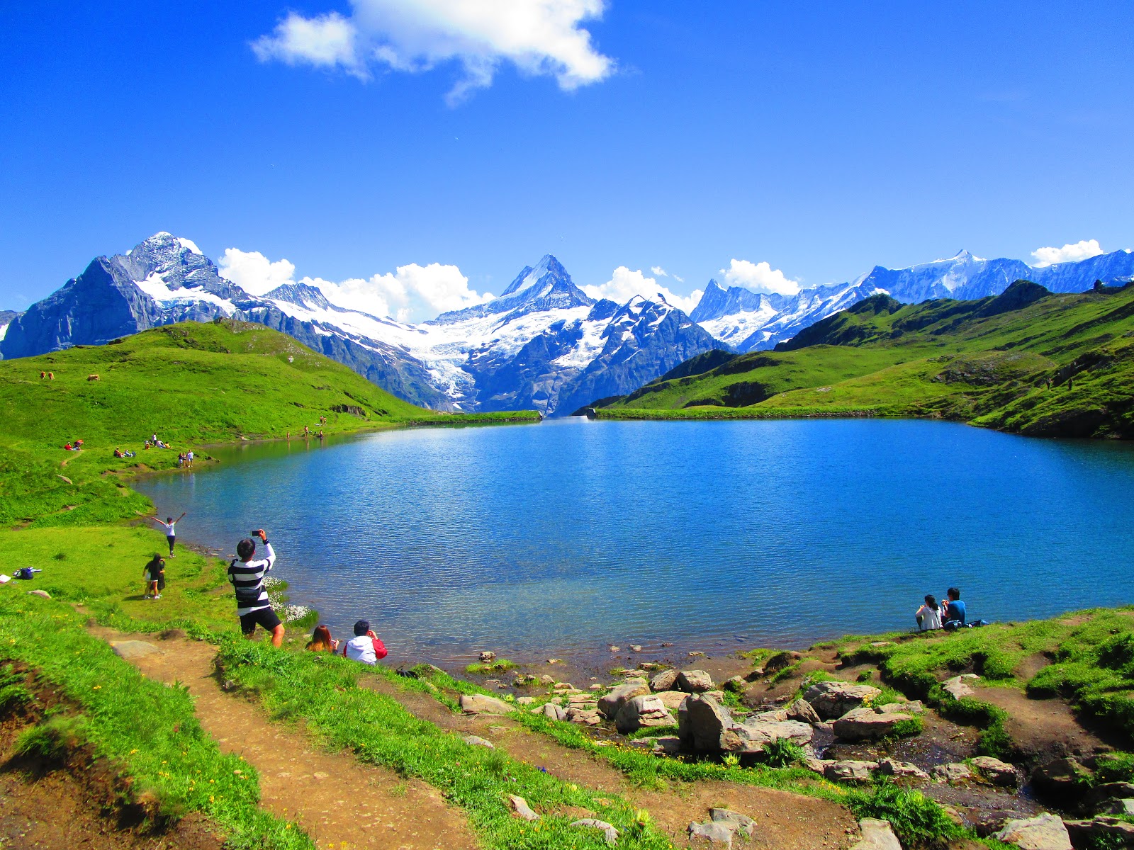 Lake Bachalpsee Wallpapers