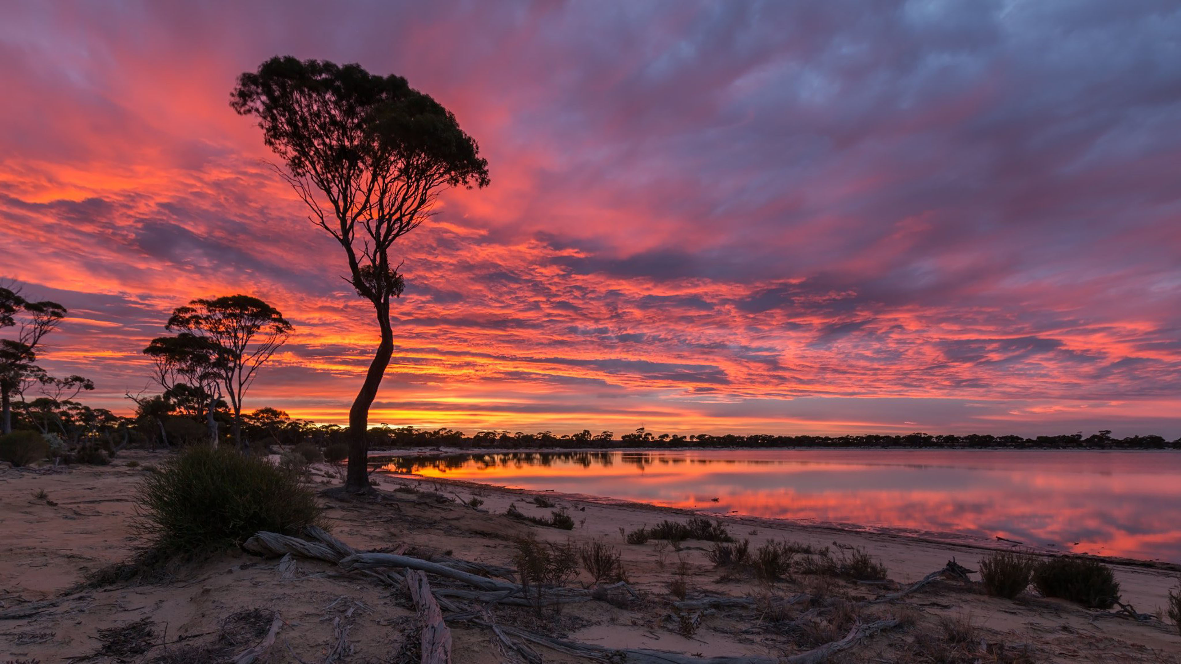 Lake House And Pink Sky Sunset Wallpapers