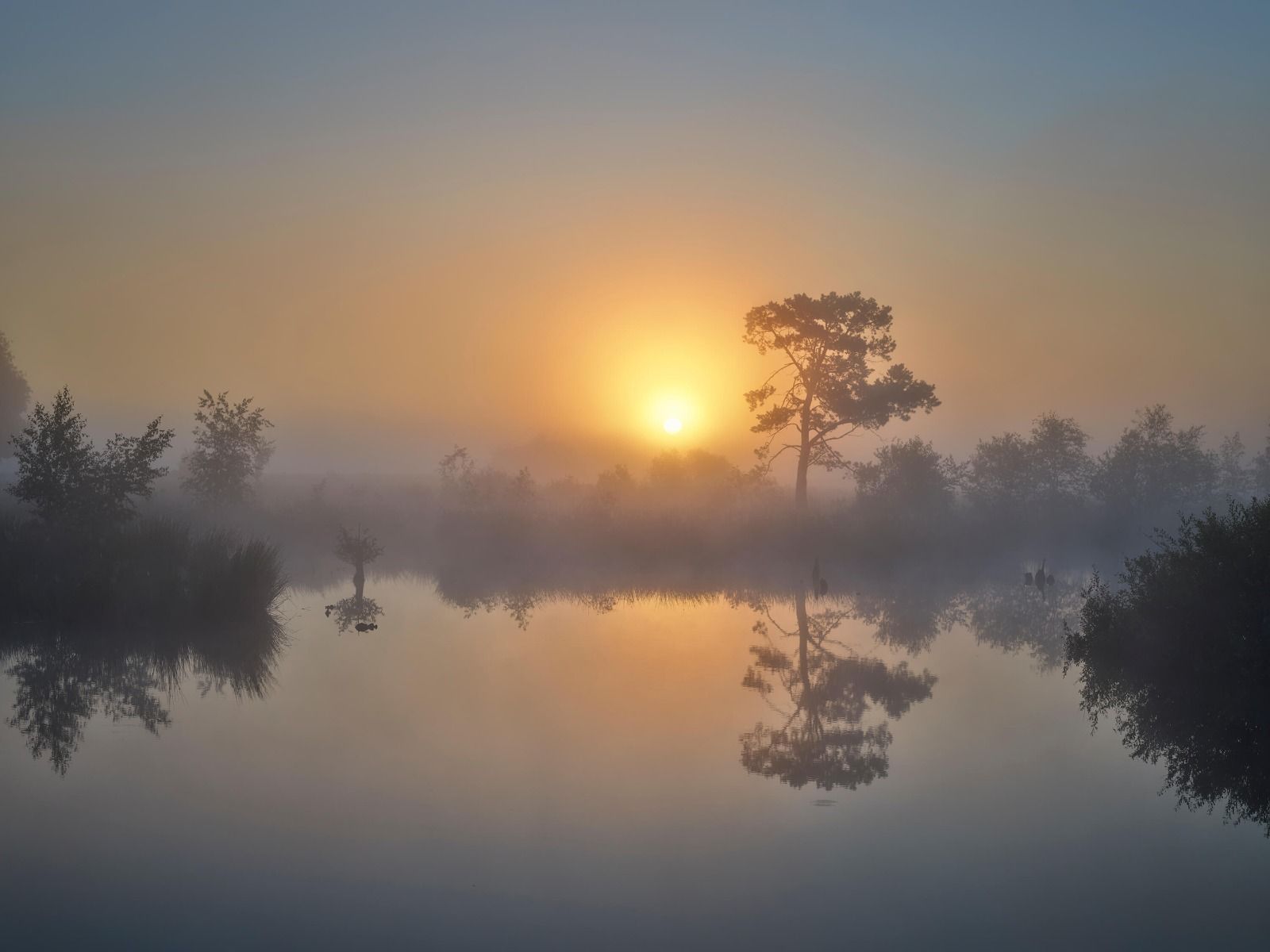 Lake Side Sunrise Wallpapers