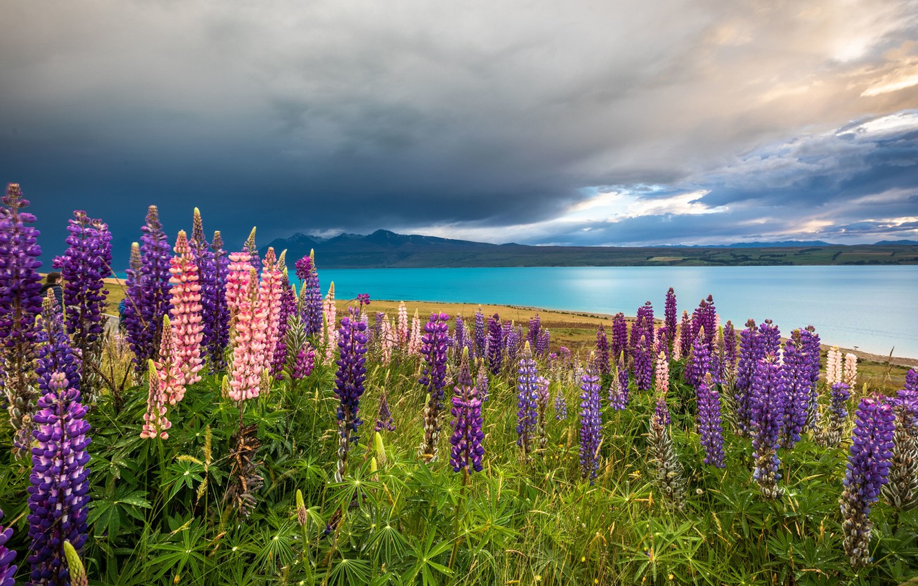 Lake Tekapo Wallpapers