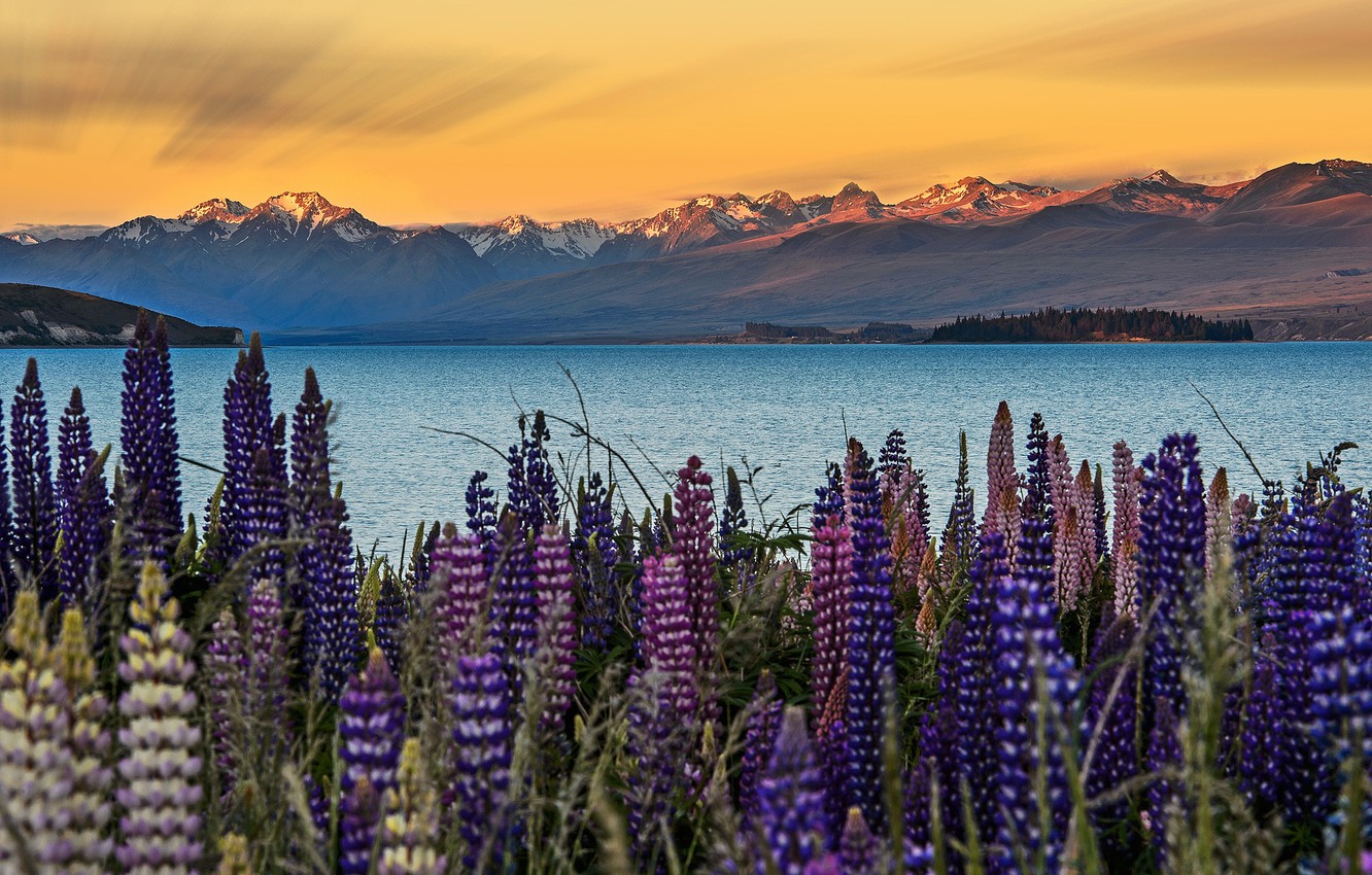 Lake Tekapo Wallpapers