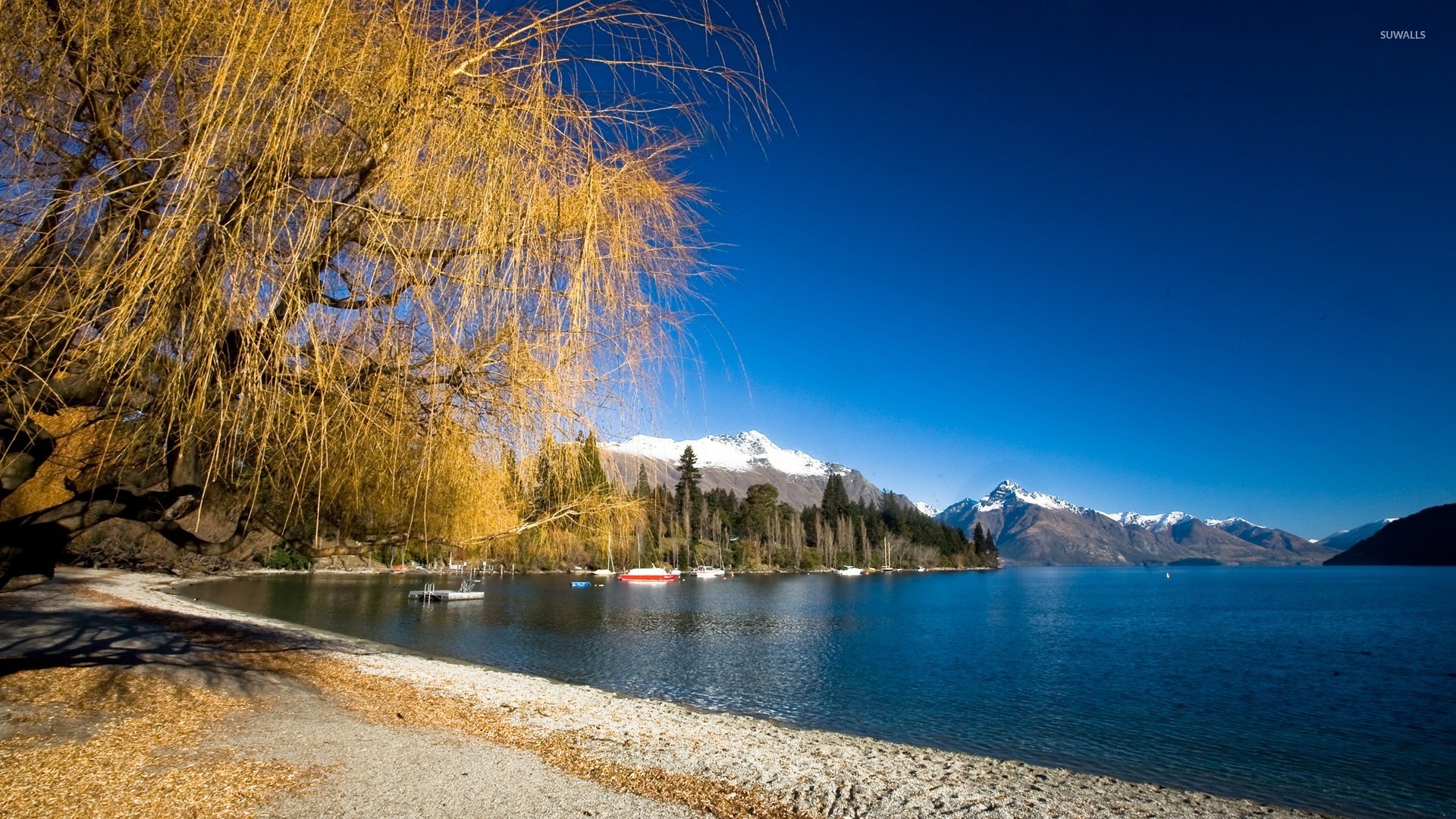 Lake Wakatipu Wallpapers