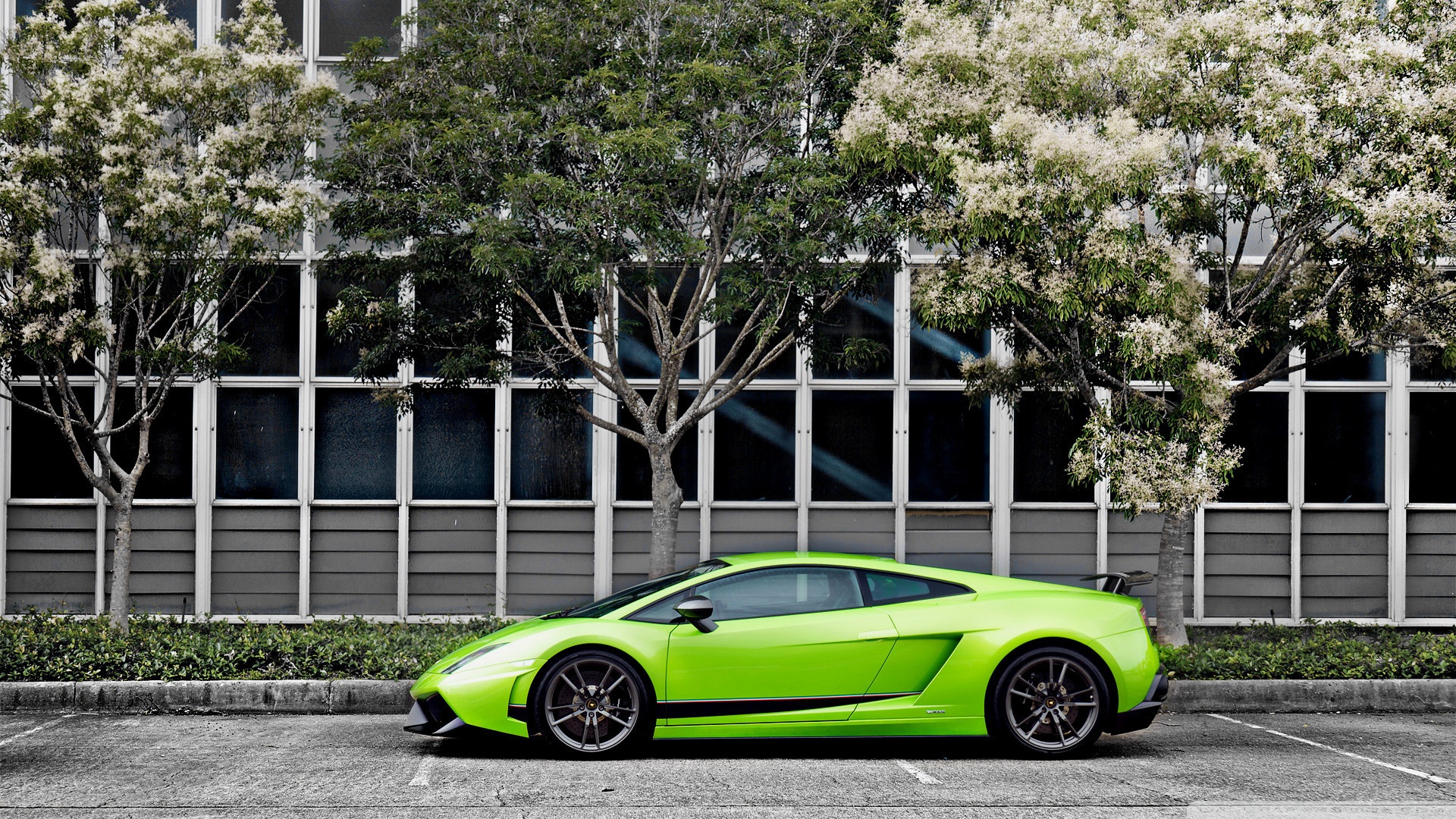 Lamborghini Gallardo Superleggera Wallpapers