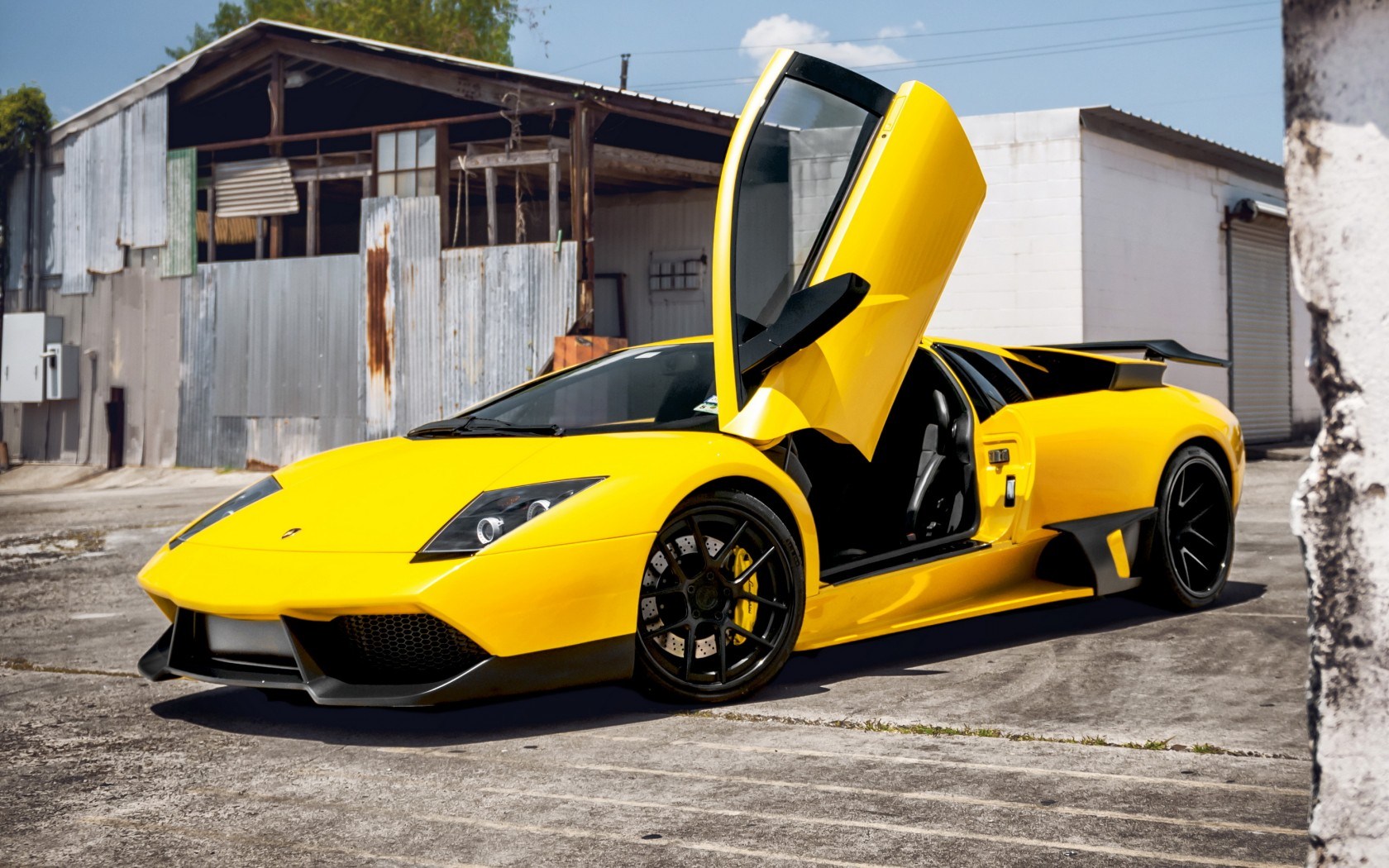 Lamborghini Murcielago Wallpapers